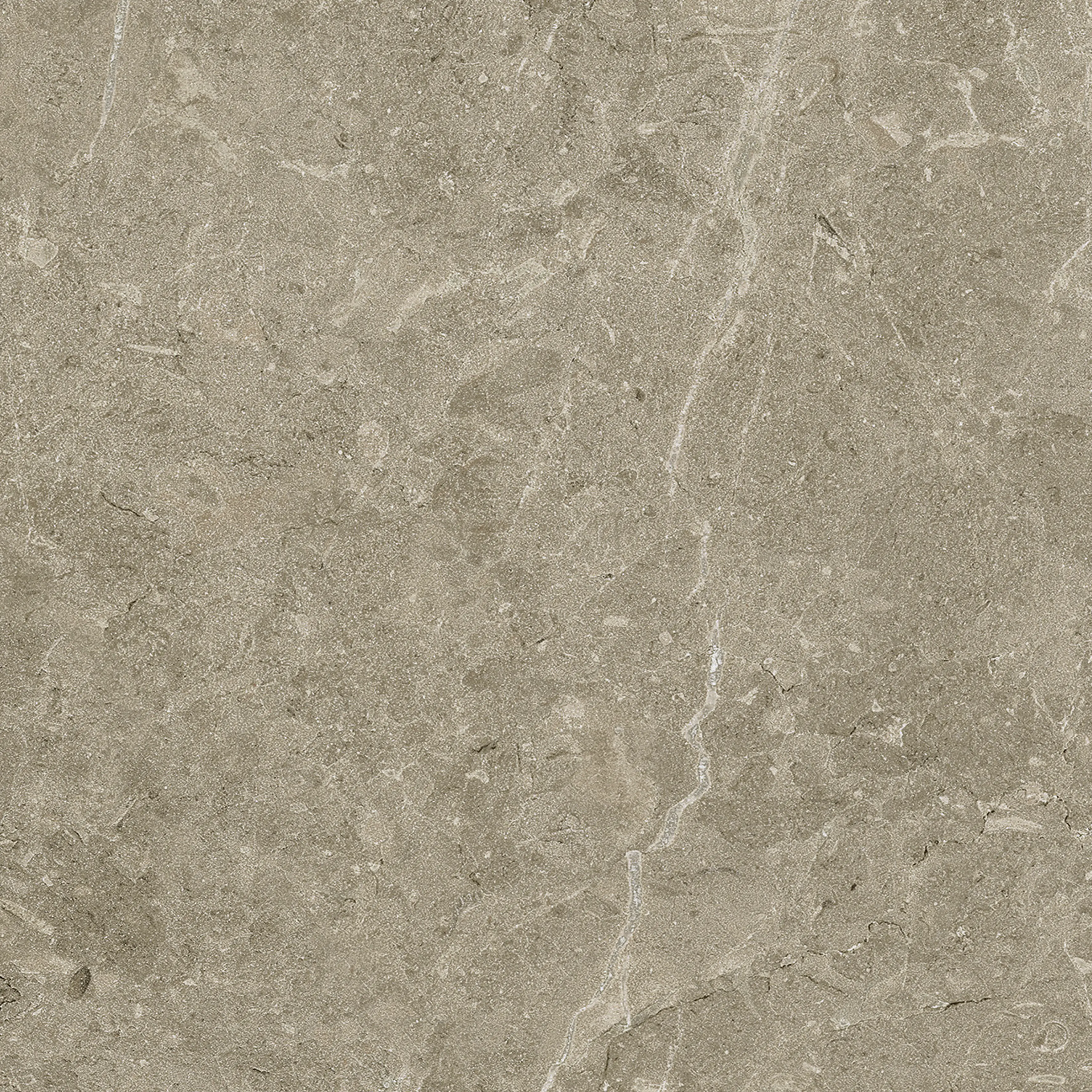 Terrassenplatte Botticino 60 x 60 cm Taupe Terrassenplatte Botticino 60 x 60 cm Taupe