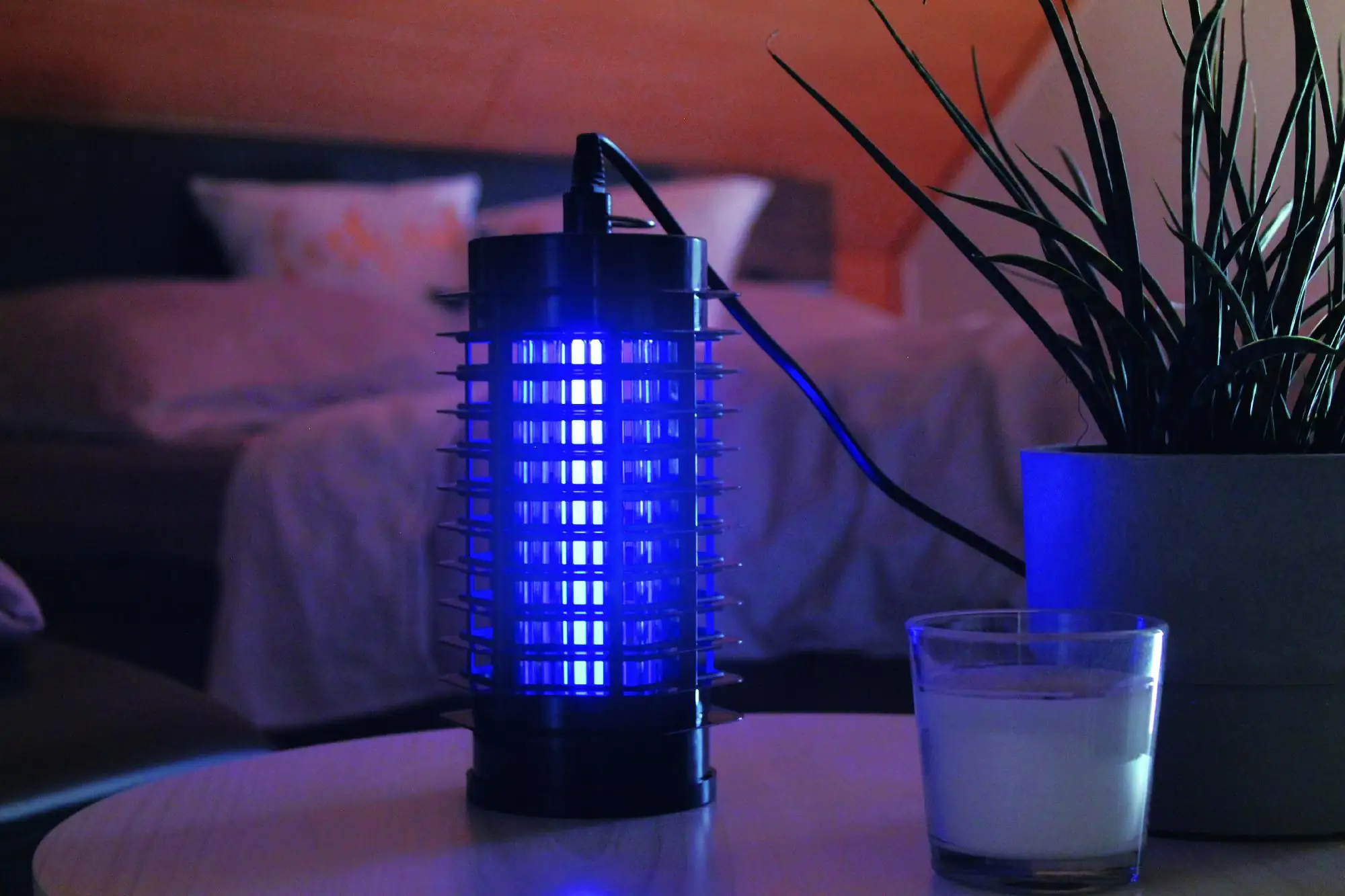 Gardigo Fluginsekten Vernichter 25 m² Gardigo Fluginsekten Vernichter 25 m²