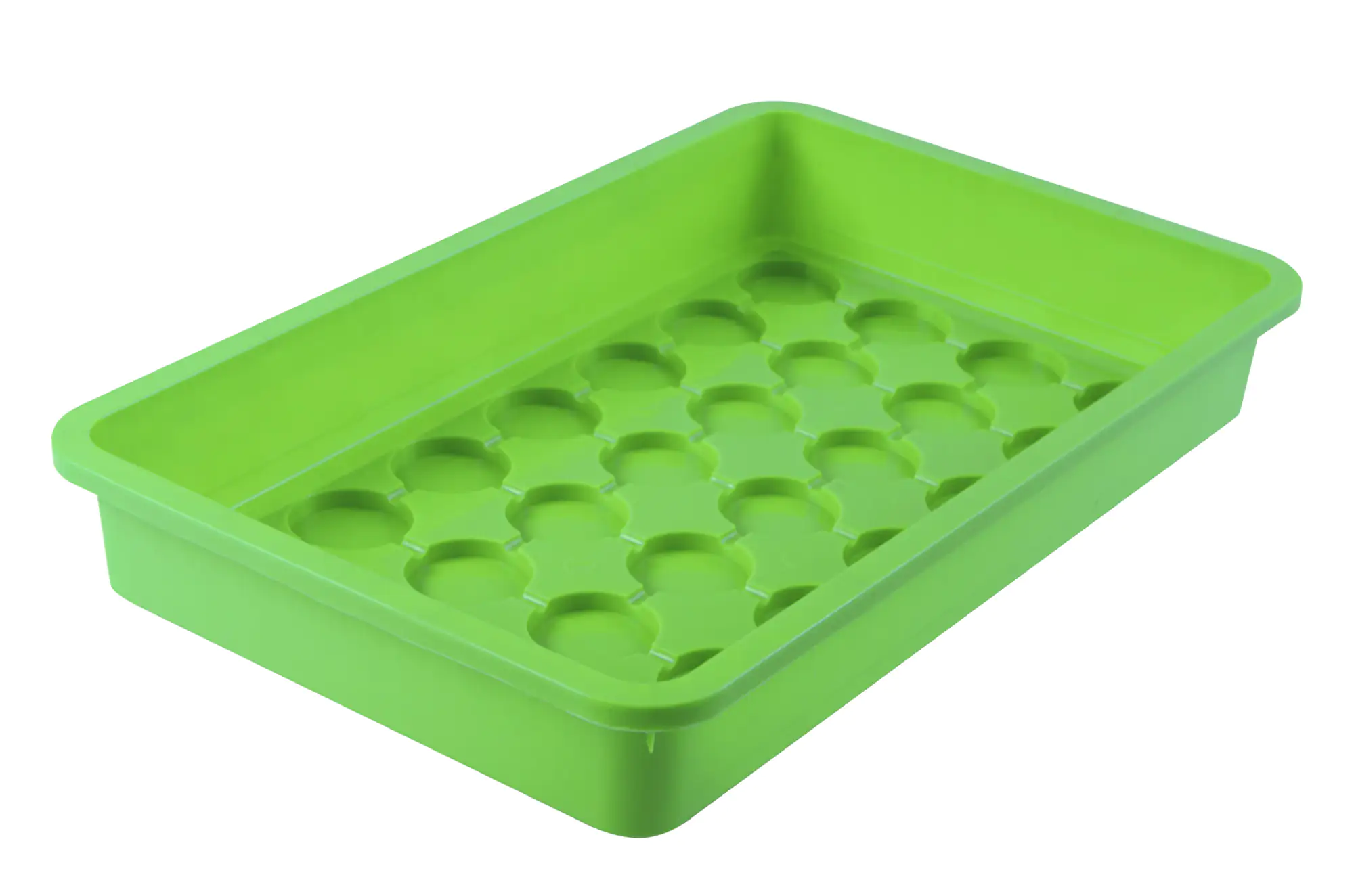 9003117055834 Windhager Aussaat-Schale 38 x 24 x 6 cm, grün