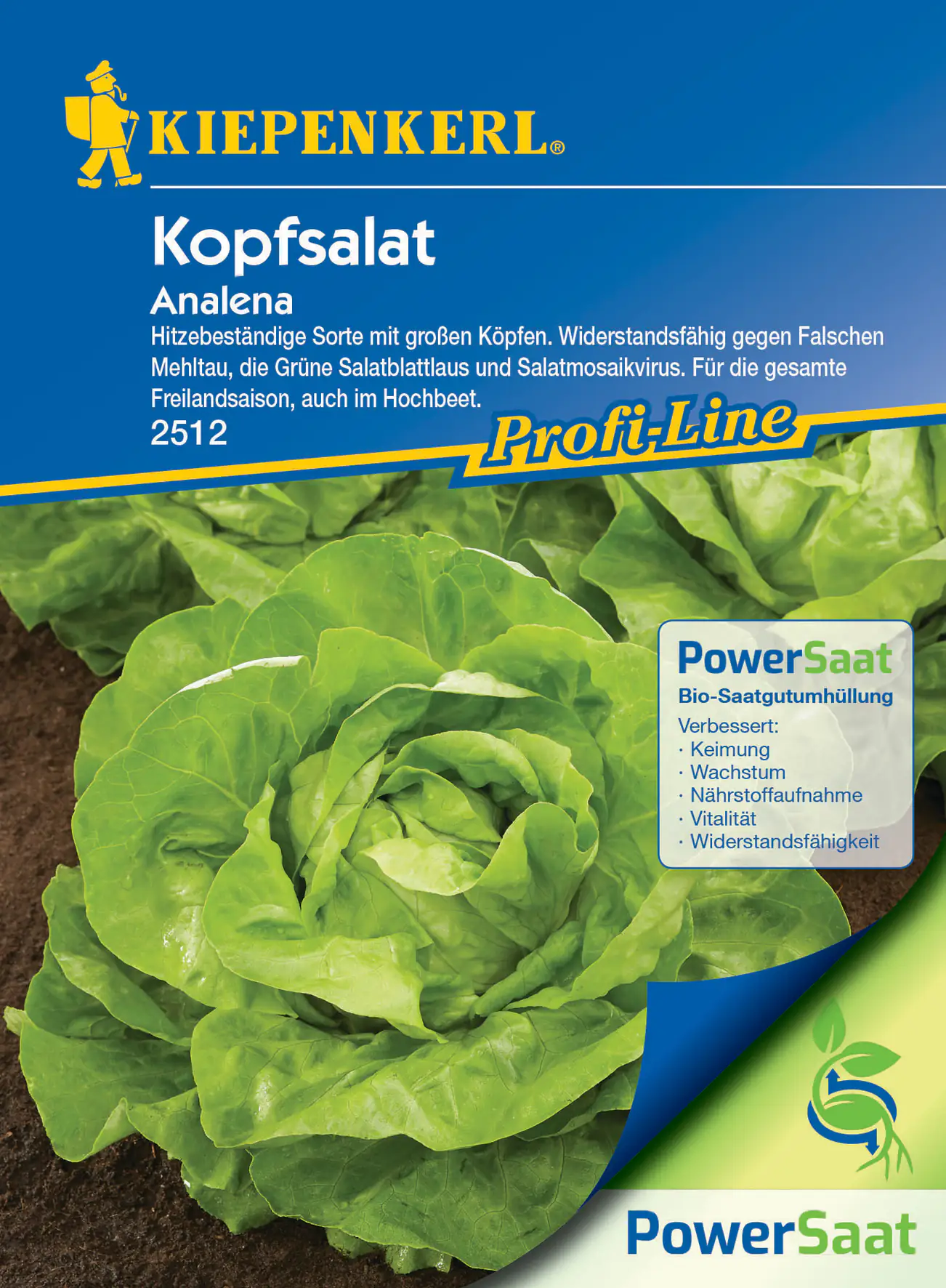 Kiepenkerl Kopfsalat Analena PowerSaat Kiepenkerl Kopfsalat Analena PowerSaat