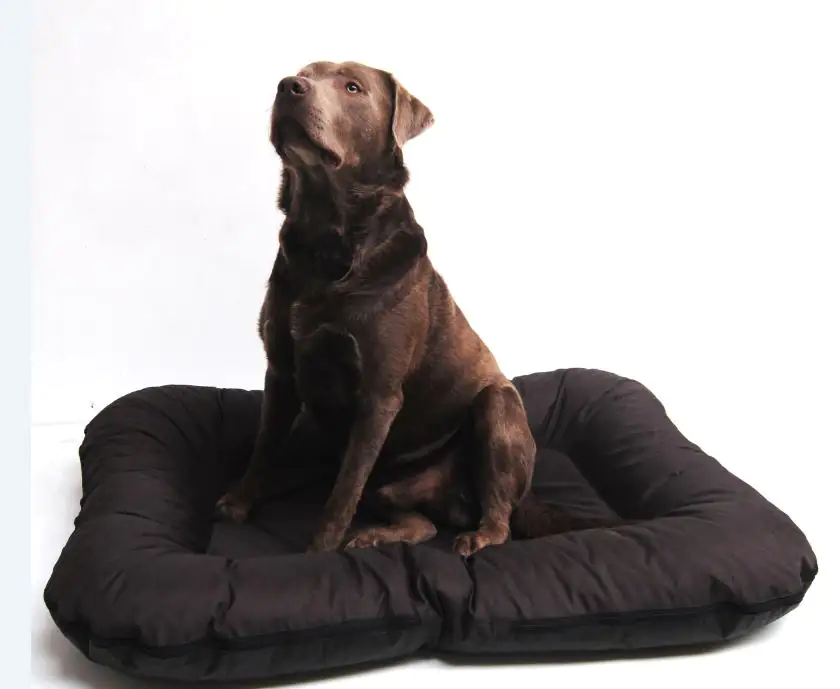 Lebon Hundekissen Ponto braun