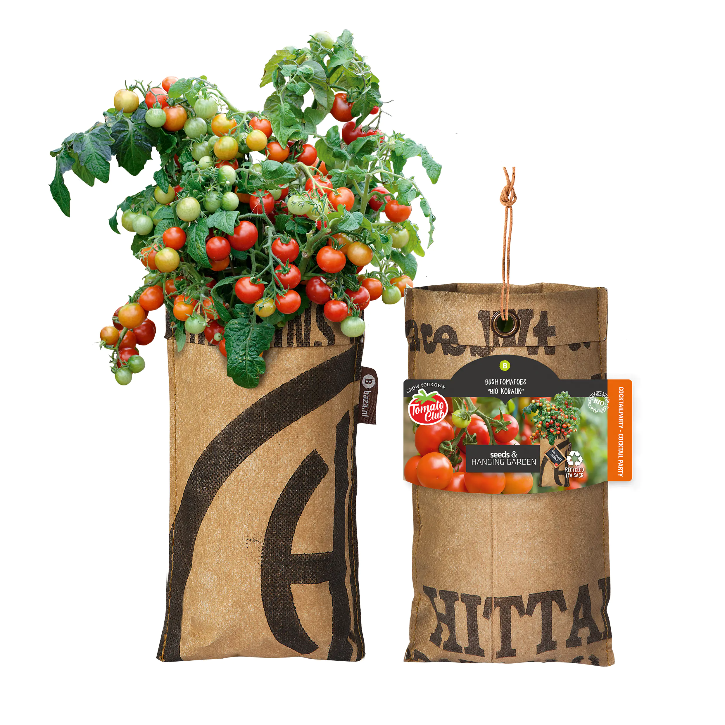 Baza Seeds hängender Garten Strauchtomate Bio Koralik 