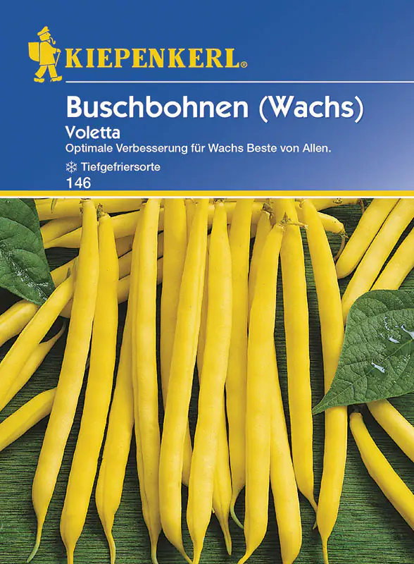 Kiepenkerl Buschbohne Voletta Phaseolus vulgaris var. nanus, Inhalt: ca. 8-10 lfd. Meter