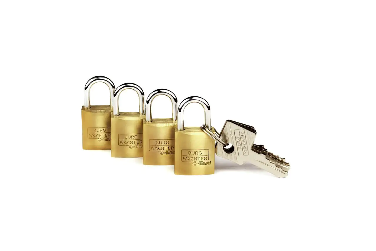 Burg Wächter Vorhängeschloss Quadro 222 15 C-Line 8.0 x 11.0 mm - 4 Stück