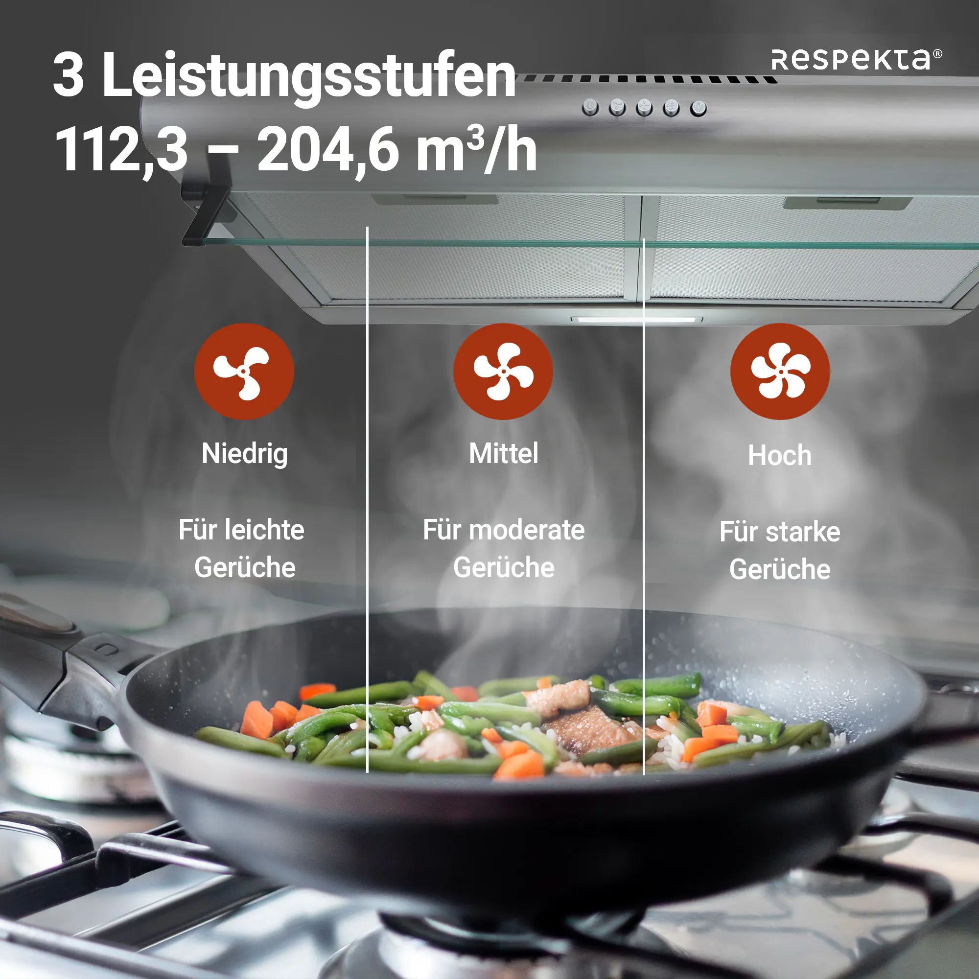 respekta Unterbauhaube Edelstahl 60 cm Typ / Modell: CH 1259 IXCN 60 cm respekta Unterbauhaube Edelstahl 60 cm Typ / Modell: CH 1259 IXCN 60 cm
