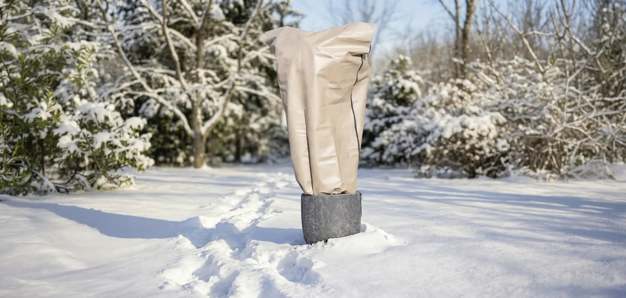 Windhager Winterschutz für Pflanzen Schutzhaube S-prot 130 x 180 cm beige