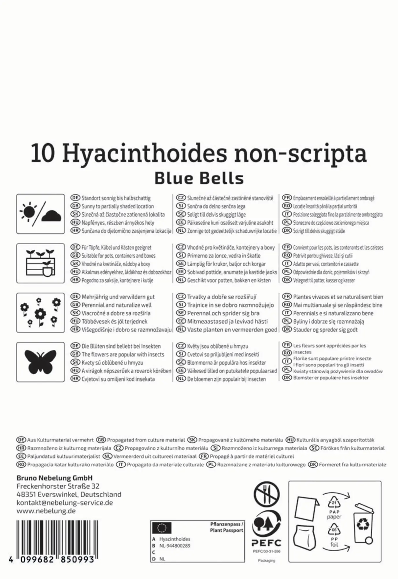 Kiepenkerl Herbstblumenzwiebel Profi-Line Hasenglöckchen Blue Bells 10 Stück