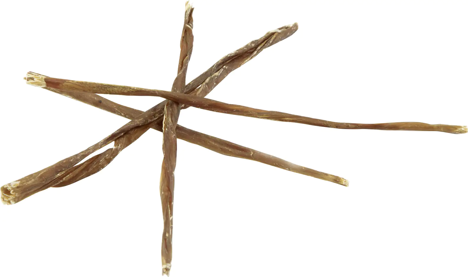 Beeztees Piganini Schweinefleischstick Hundesnack 200 g Beeztees Piganini Schweinefleischstick Hundesnack 200 g