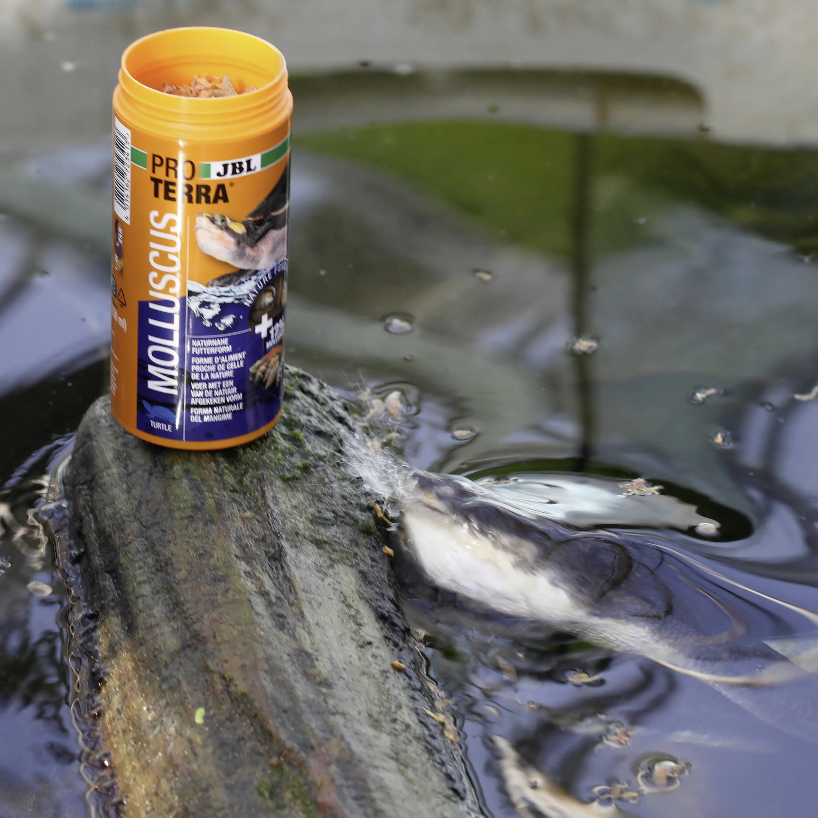 JBL Schildkrötenfutter Proterra Molluscus 250 ml