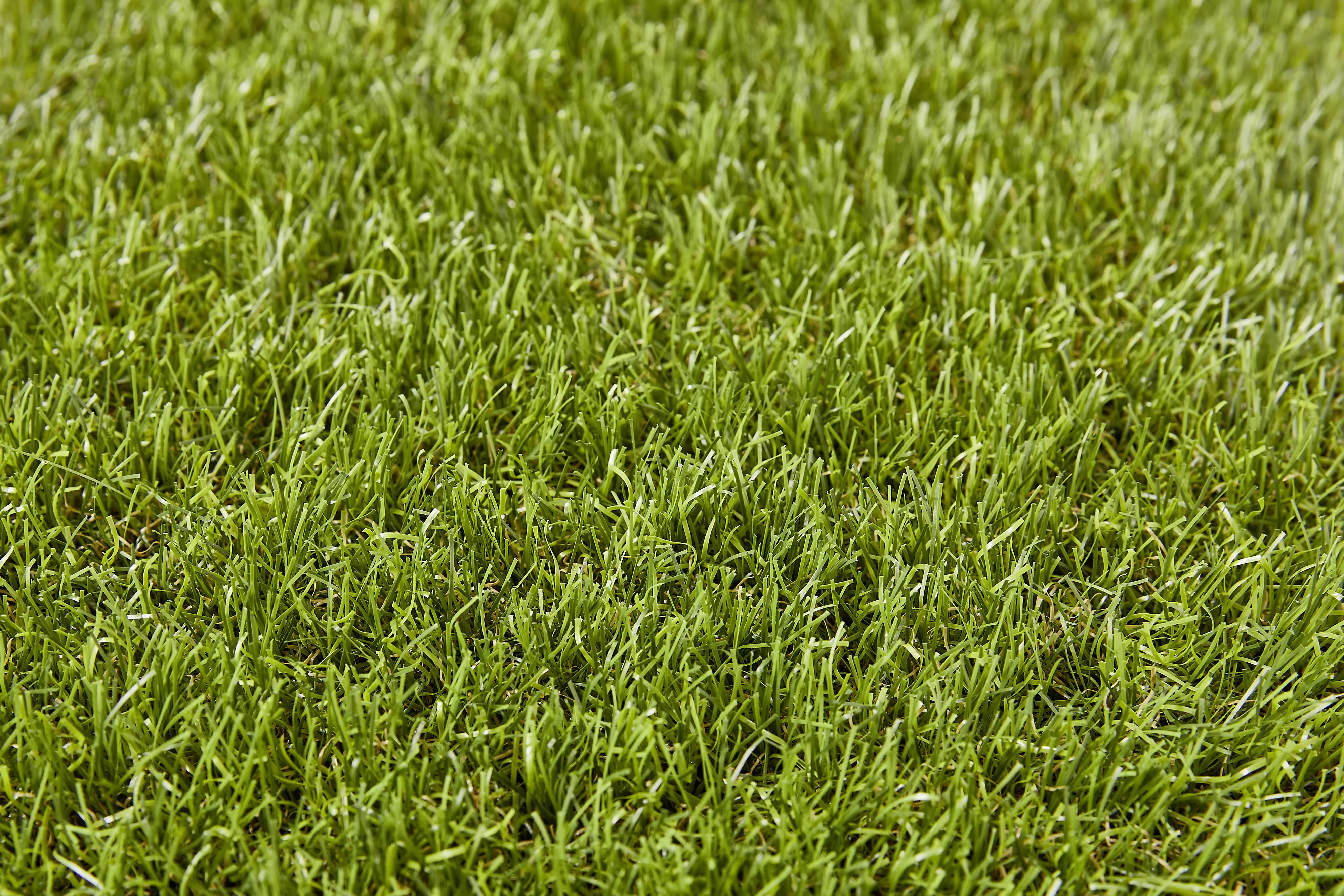 Kunstrasen Adelaide grün 2 m breit (Meterware)