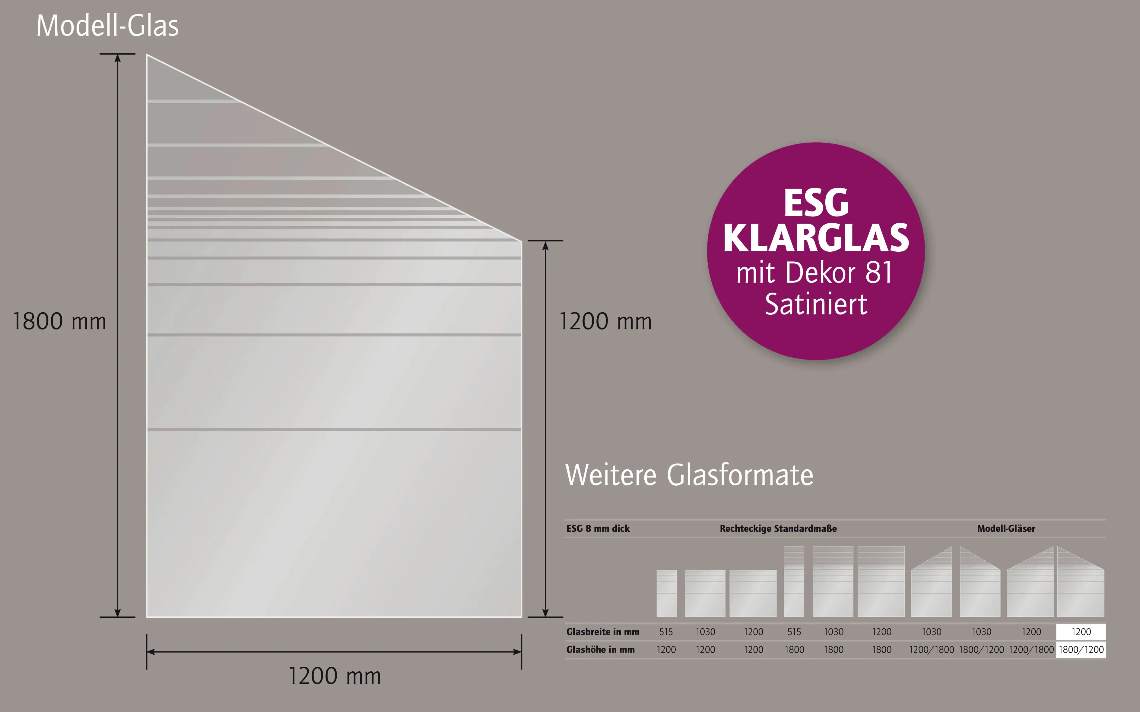 Ambiente Glaszaun Dekor 81 schräg 120 x 180/120 cm gehärtetes 8 mm Glas Ambiente Glaszaun Dekor 81 schräg 120 x 180/120 cm gehärtetes 8 mm Glas