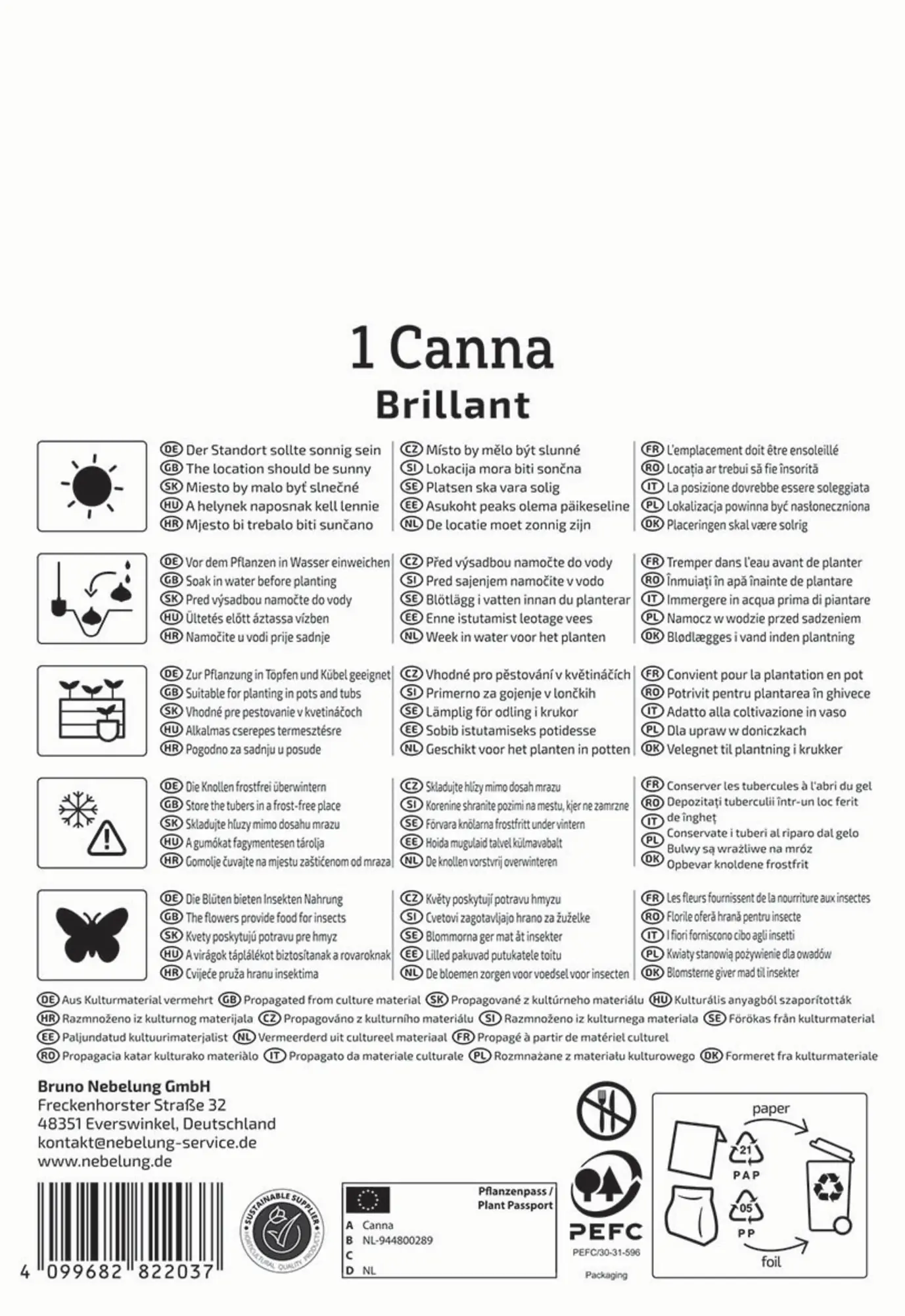 Kiepenkerl Frühjahrsblumenzwiebel Blumenrohr Brillant 1 Stück