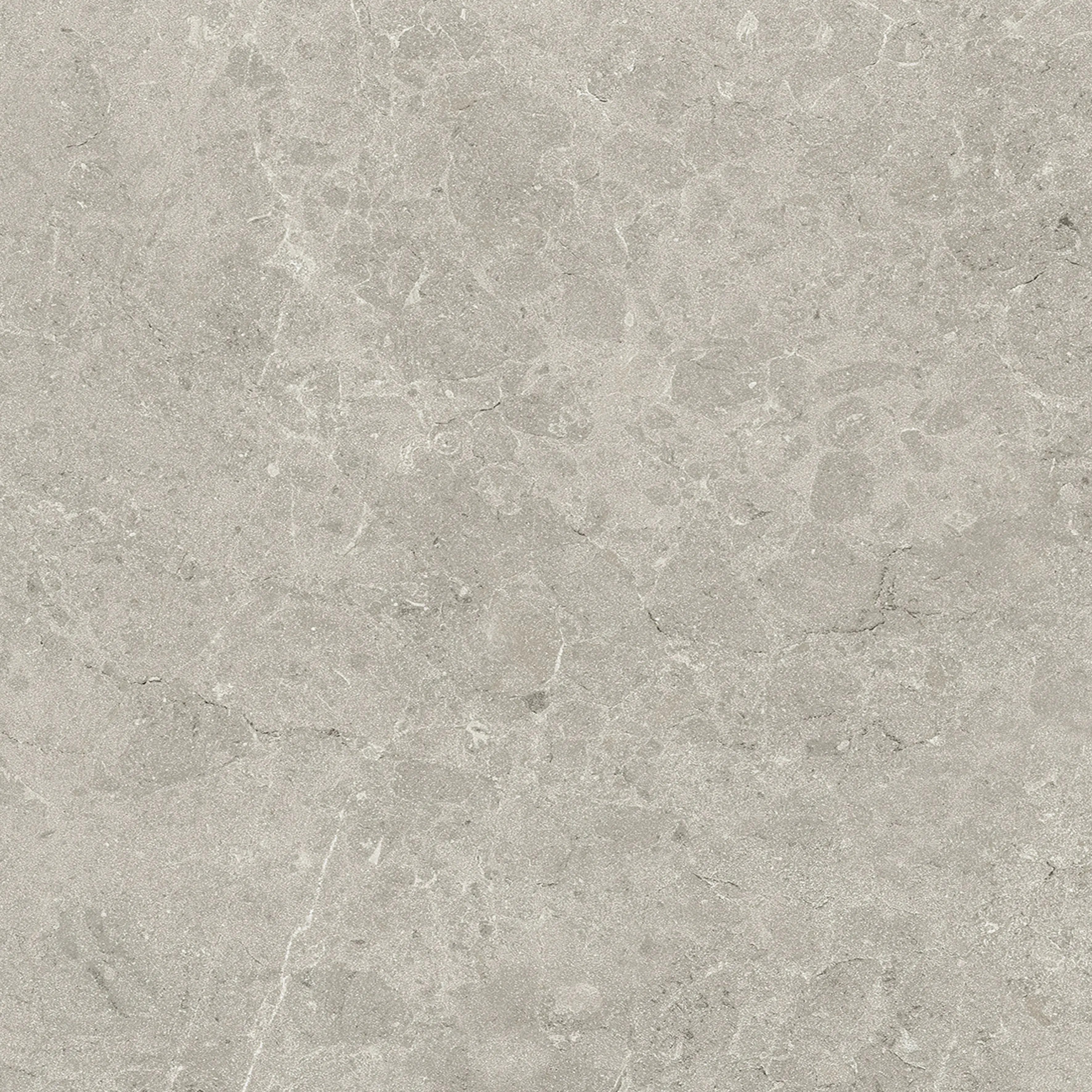 Terrassenplatte Feinsteinzeug Botticino 60 x 60 x 2 cm grau Terrassenplatte Feinsteinzeug Botticino 60 x 60 x 2 cm grau