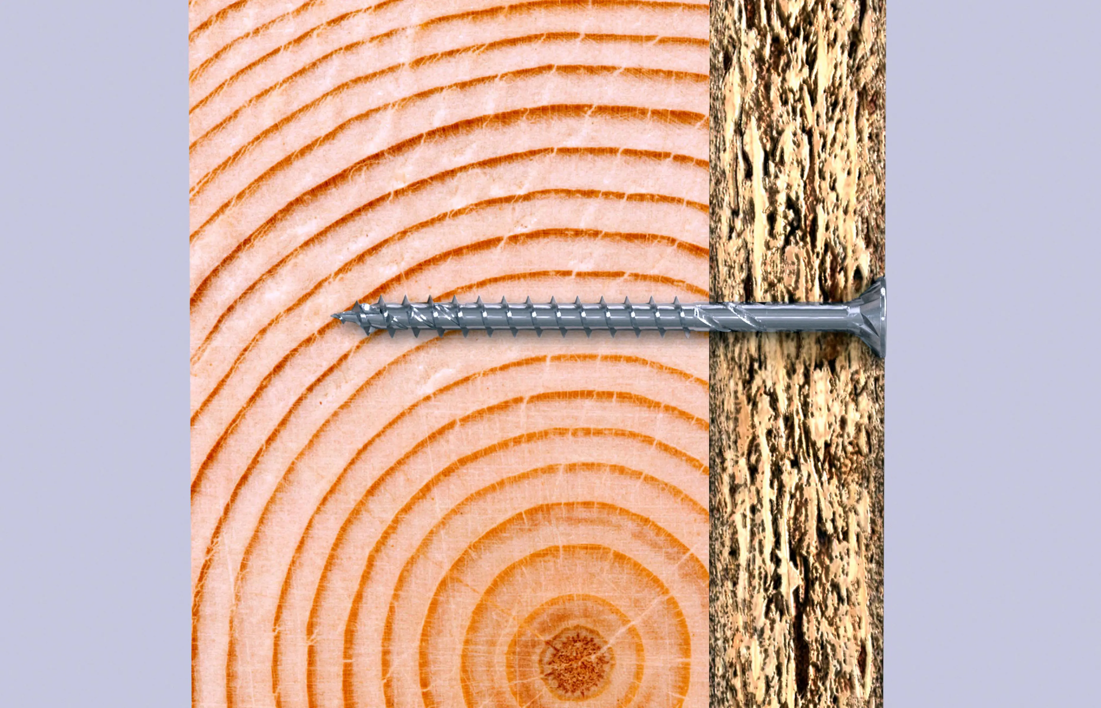 Fischer Sortimentsbox FixTrainer FPF II TX