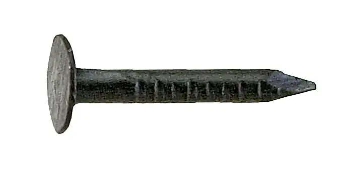 Connex Kammzwecken 2.0 x 20 mm gebläut - 80 g