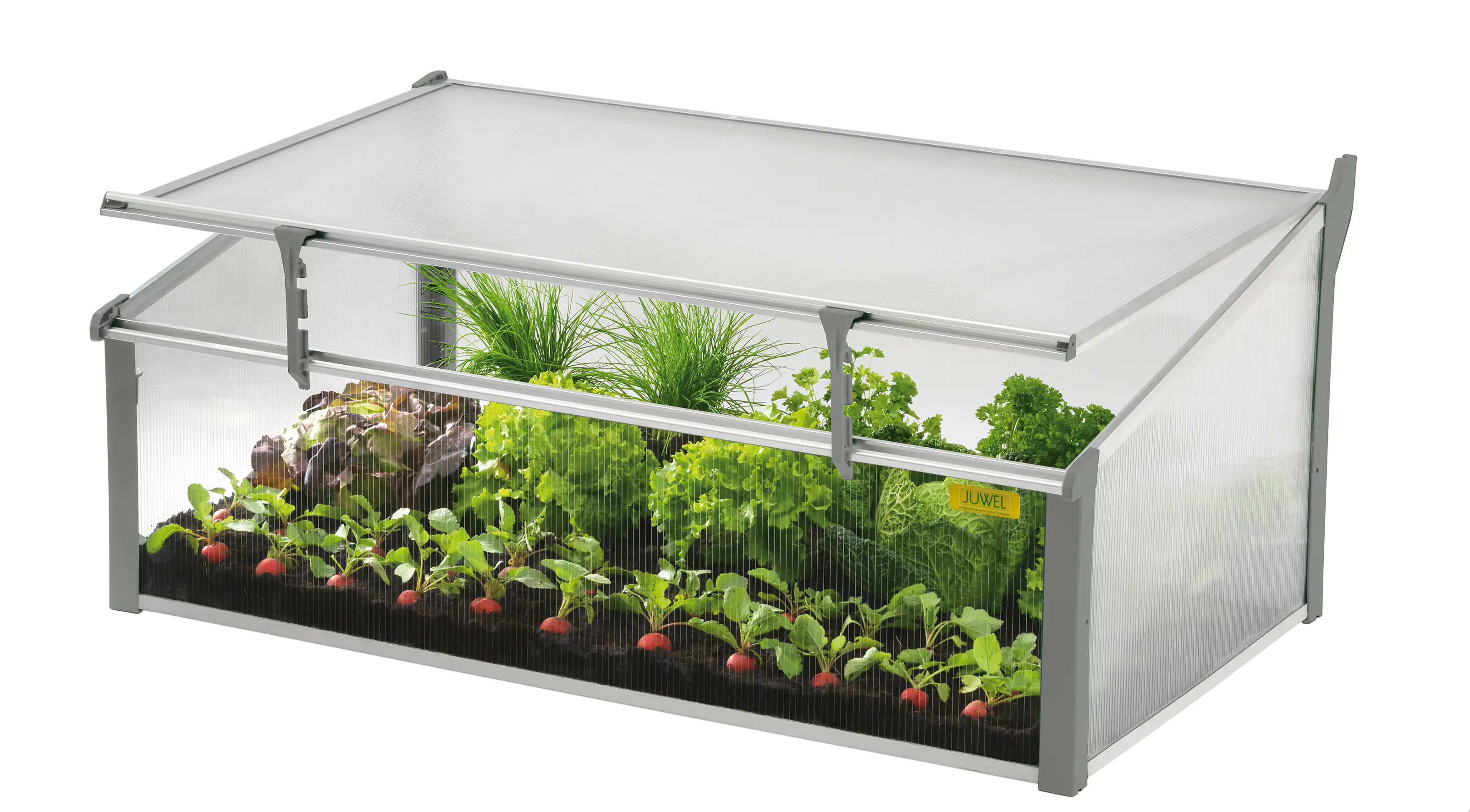 Juwel Frühbeet Easy Fix 100 x 60 cm Juwel Frühbeet Easy Fix 100 x 60 cm