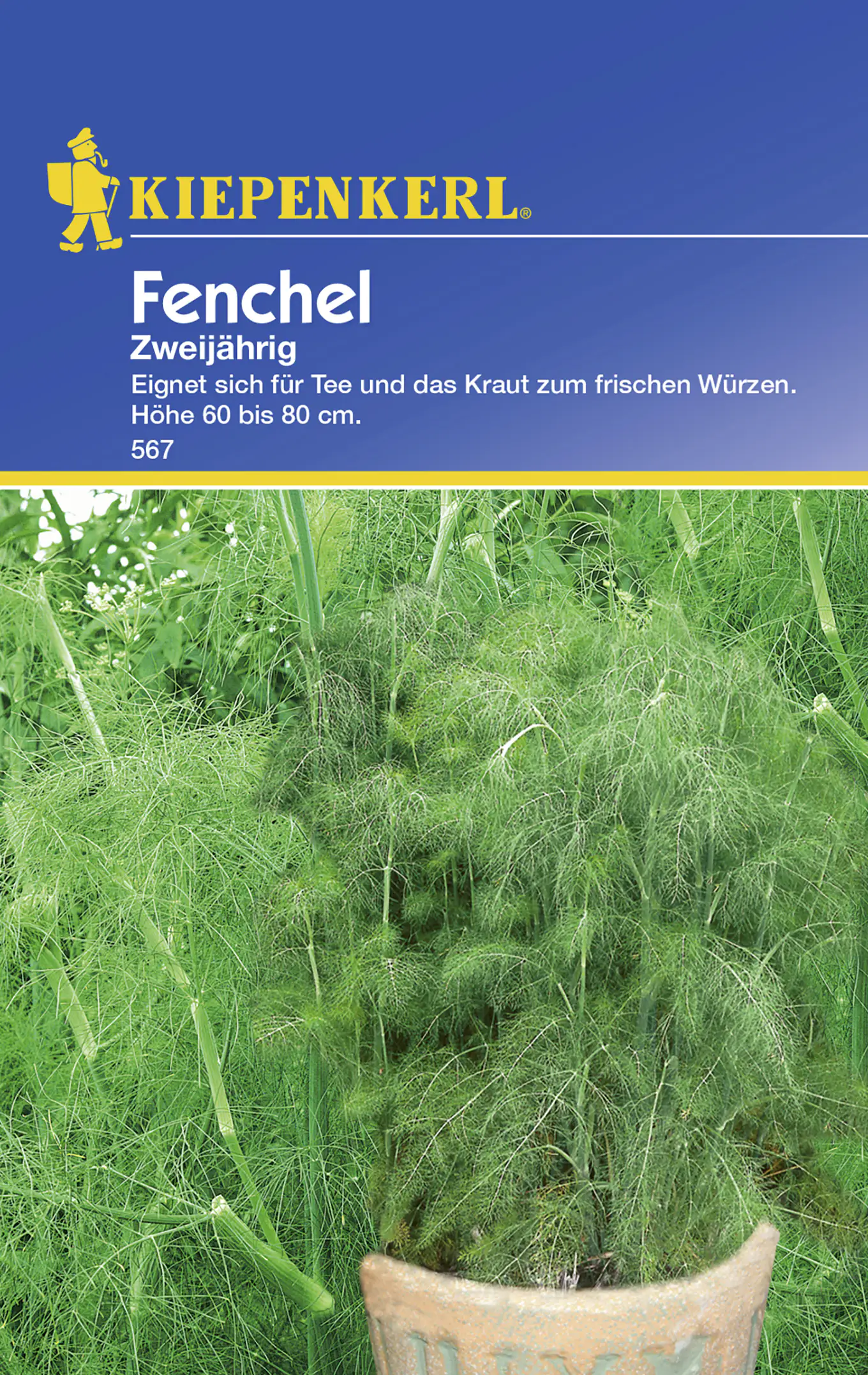 Kiepenkerl Fenchel Zweijährig Foeniculum vulgare, Inhalt: ca. 100 Pflanzen