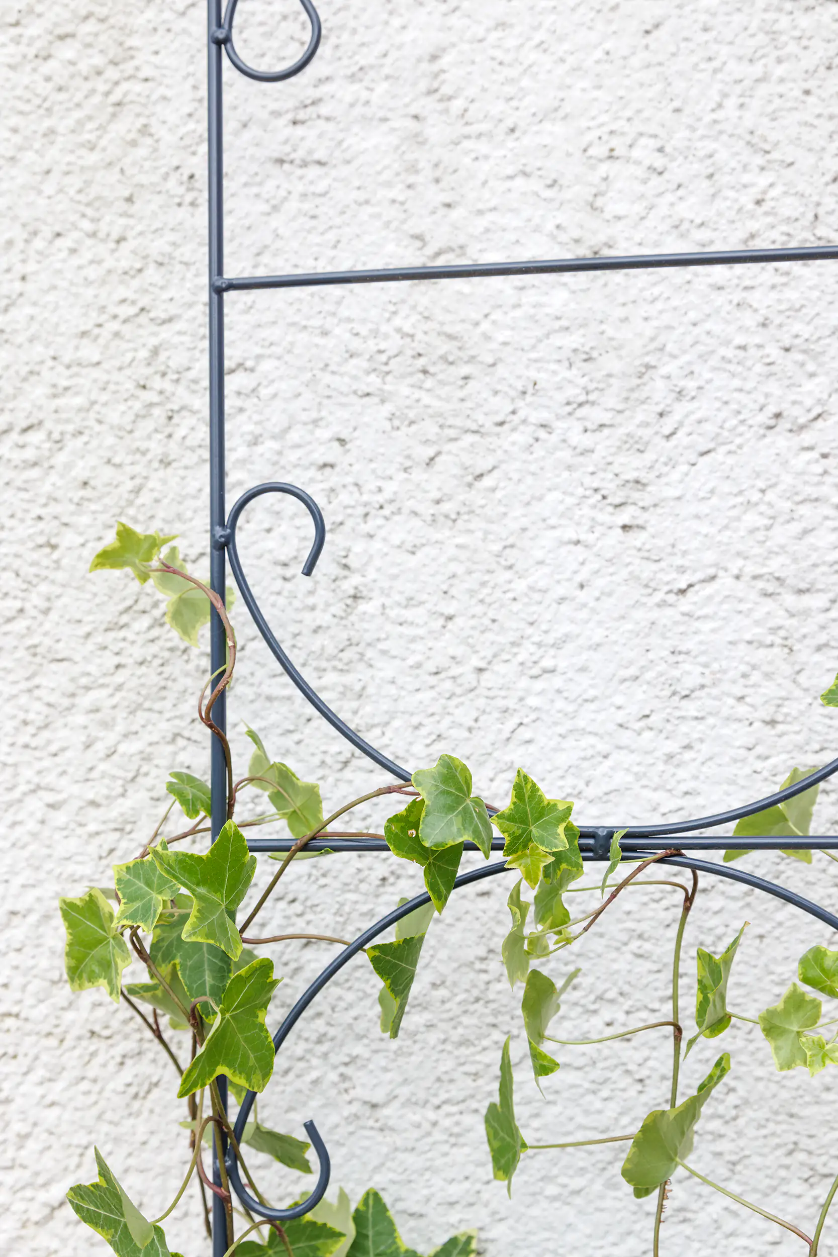 TrendLine Spalier Metall 150 cm dunkelgrau