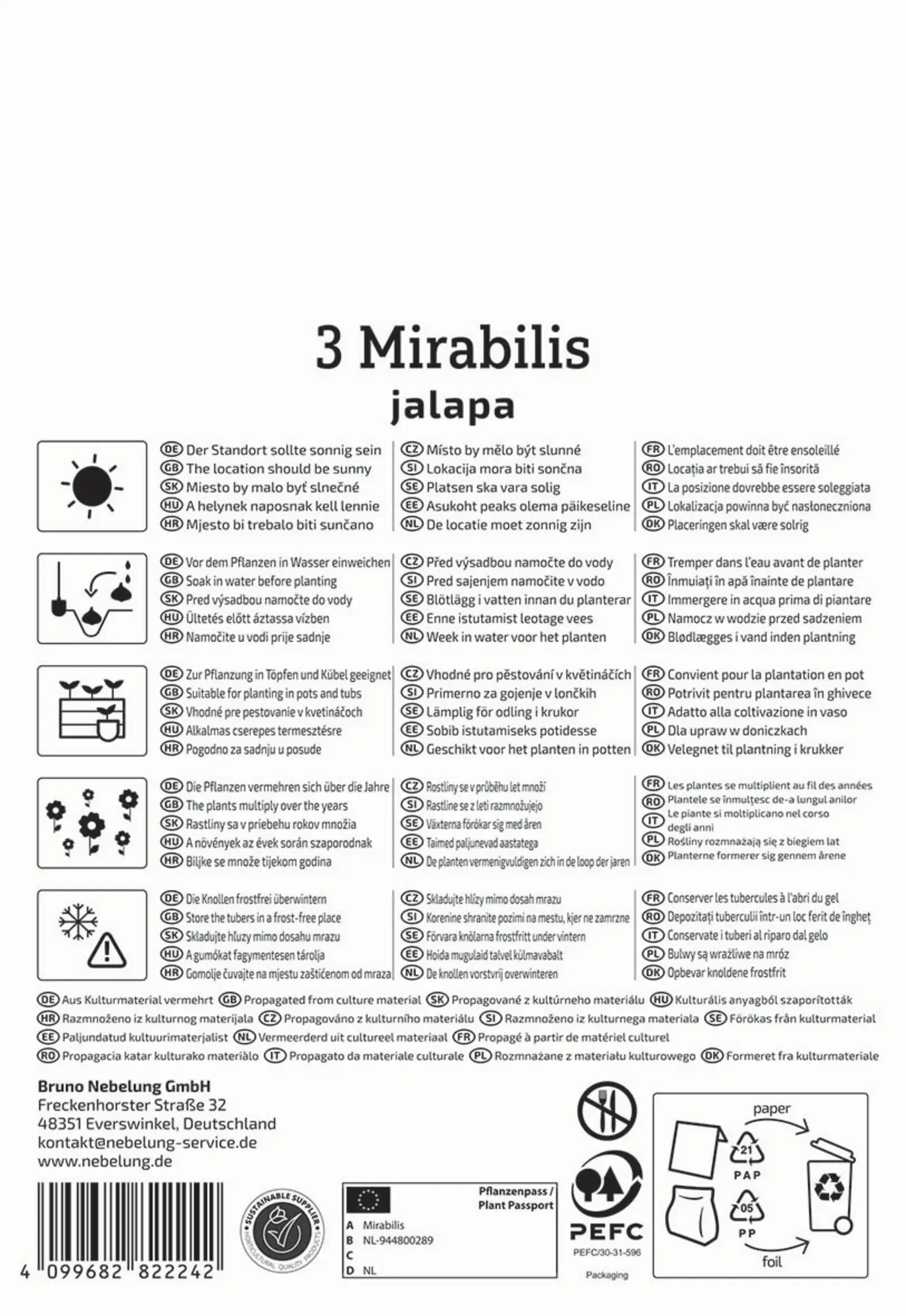 Kiepenkerl Frühjahrsblumenzwiebel Wunderblume 3 Stück