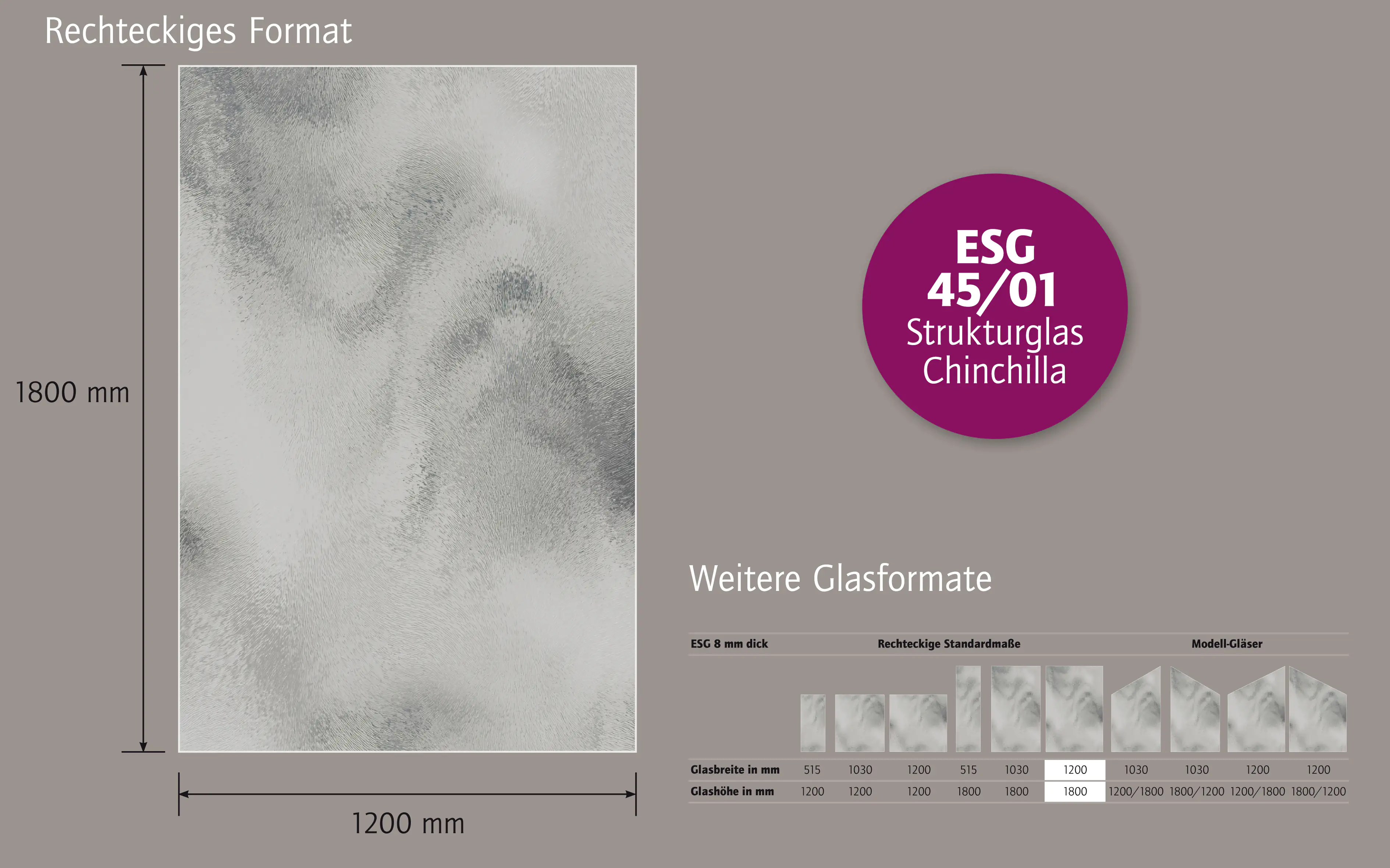 Ambiente Glaszaun B x H: 120 cm x 180 cm, gehärtetes 8 mm Glas Ambiente Glaszaun B x H: 120 cm x 180 cm, gehärtetes 8 mm Glas