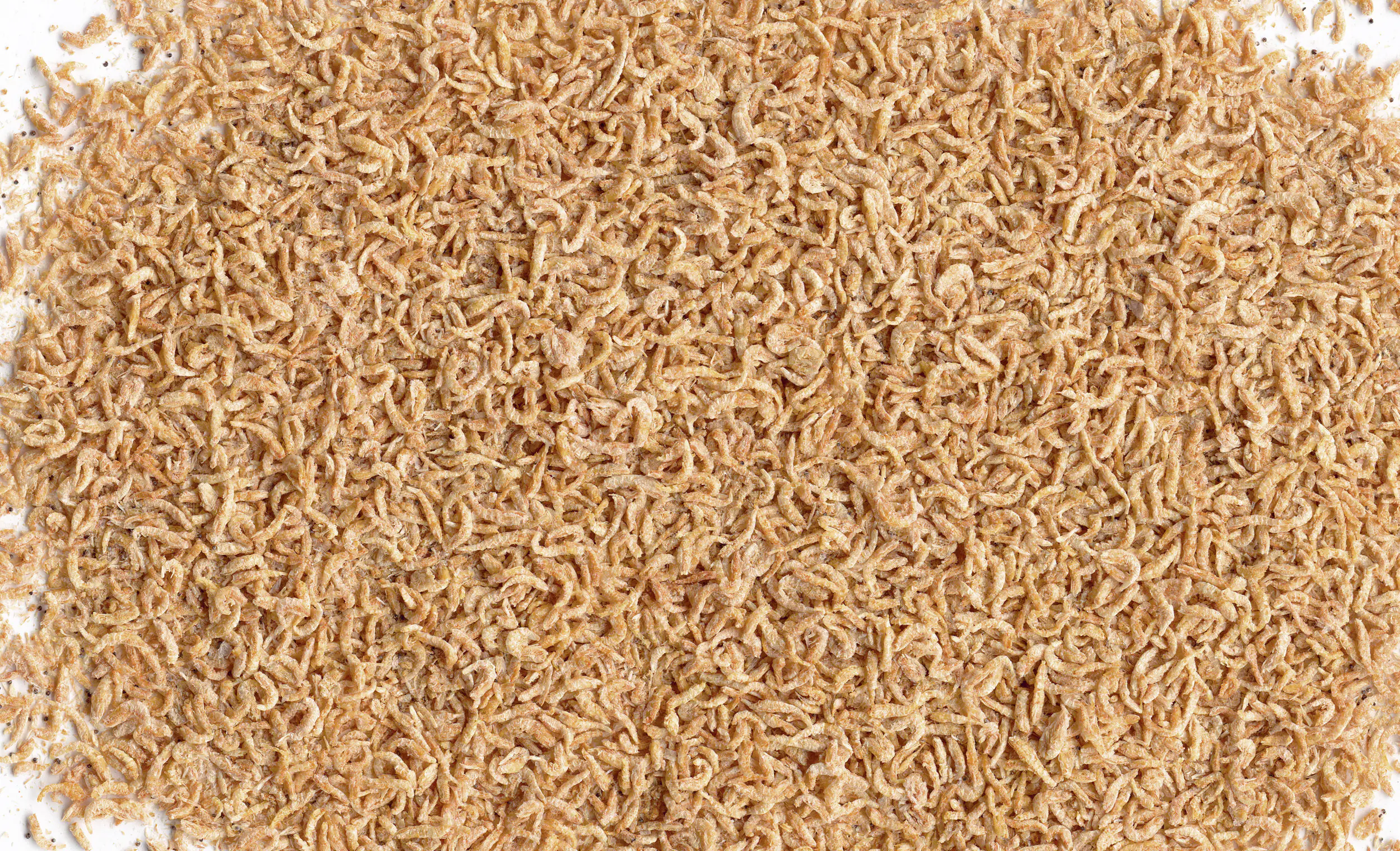 Tetra Delica Krill 100 ml