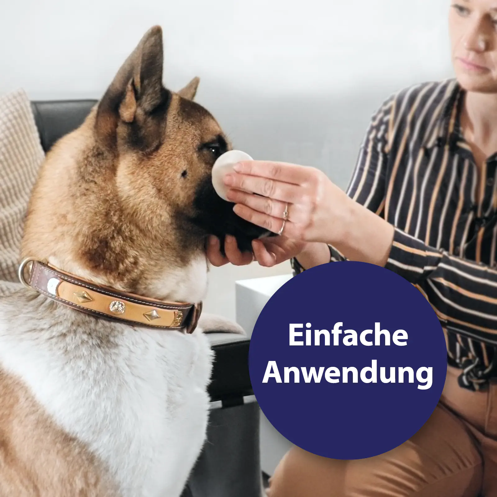 Canosept Augenpflege-Pads für Hunde 100 Stück Canosept Augenpflege-Pads für Hunde 100 Stück