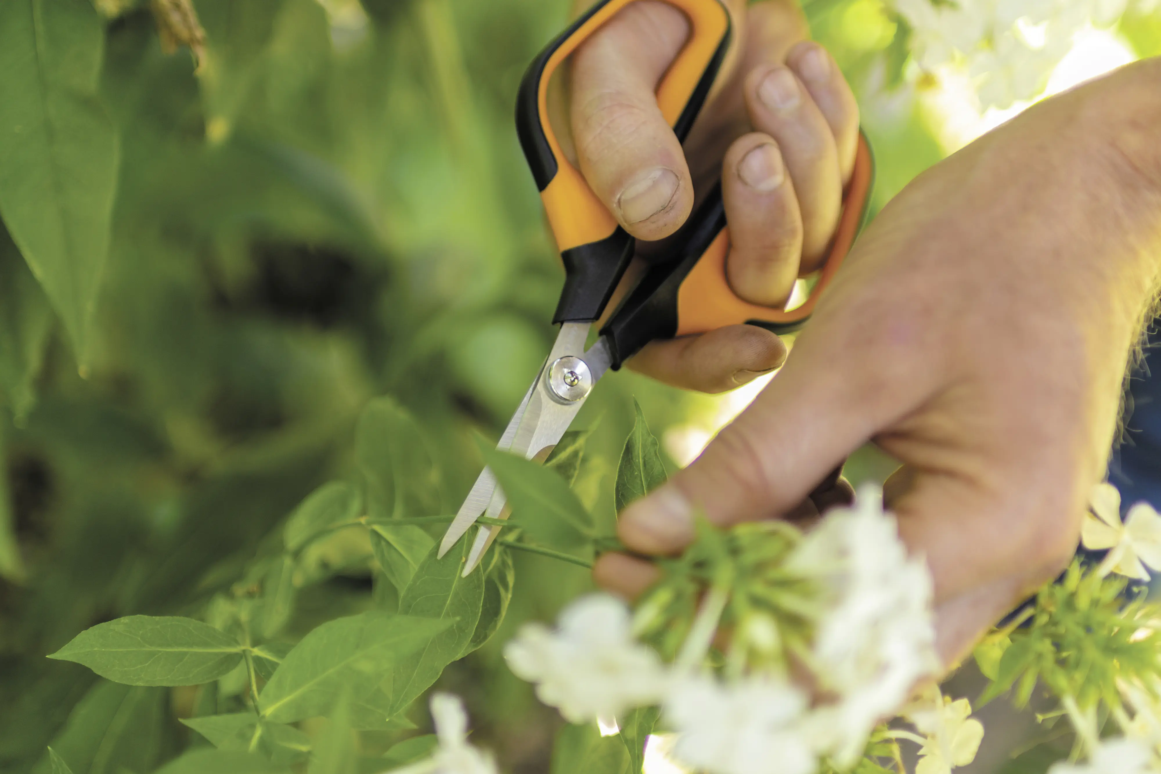 Fiskars Solid Gartenschere SP 150 Fiskars Solid Gartenschere SP 150