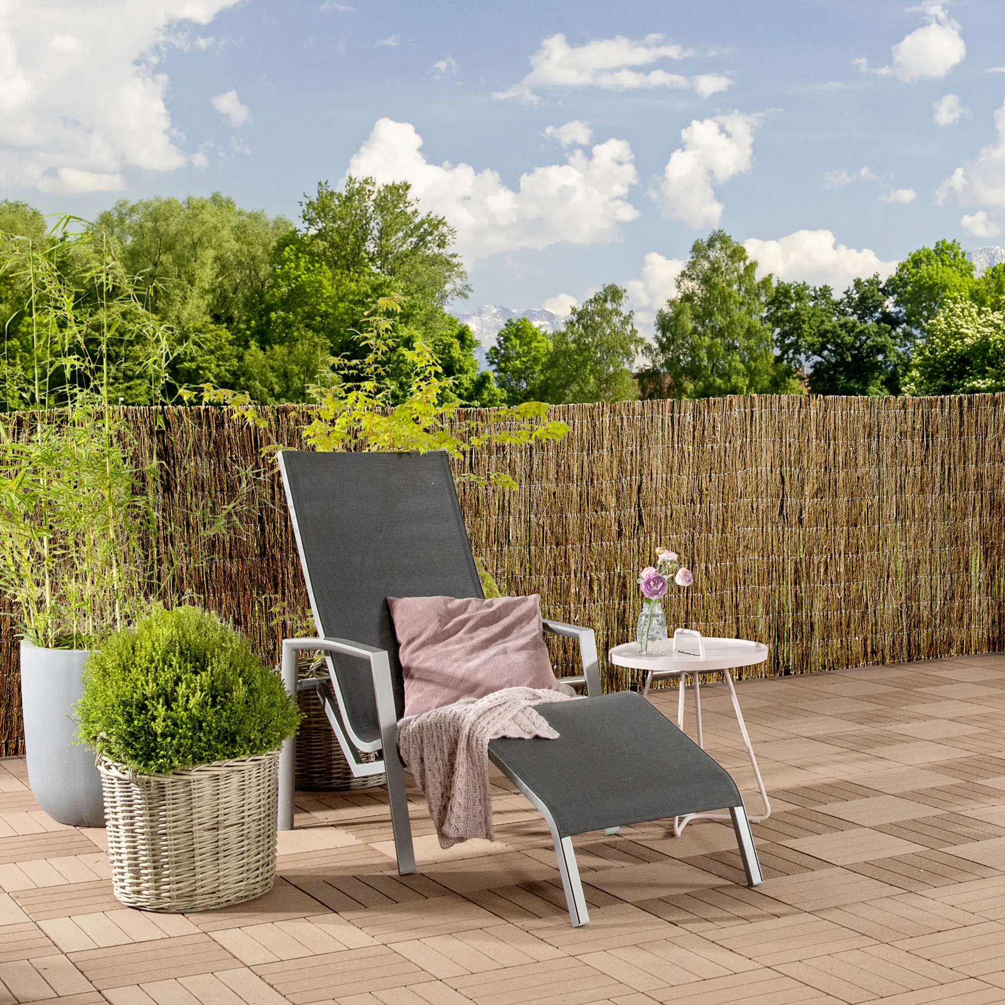 Windhager Sichtschutzmatte Weide 2 x 3 m