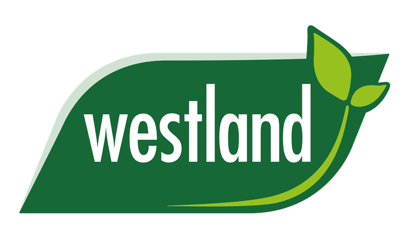 Westland Westland