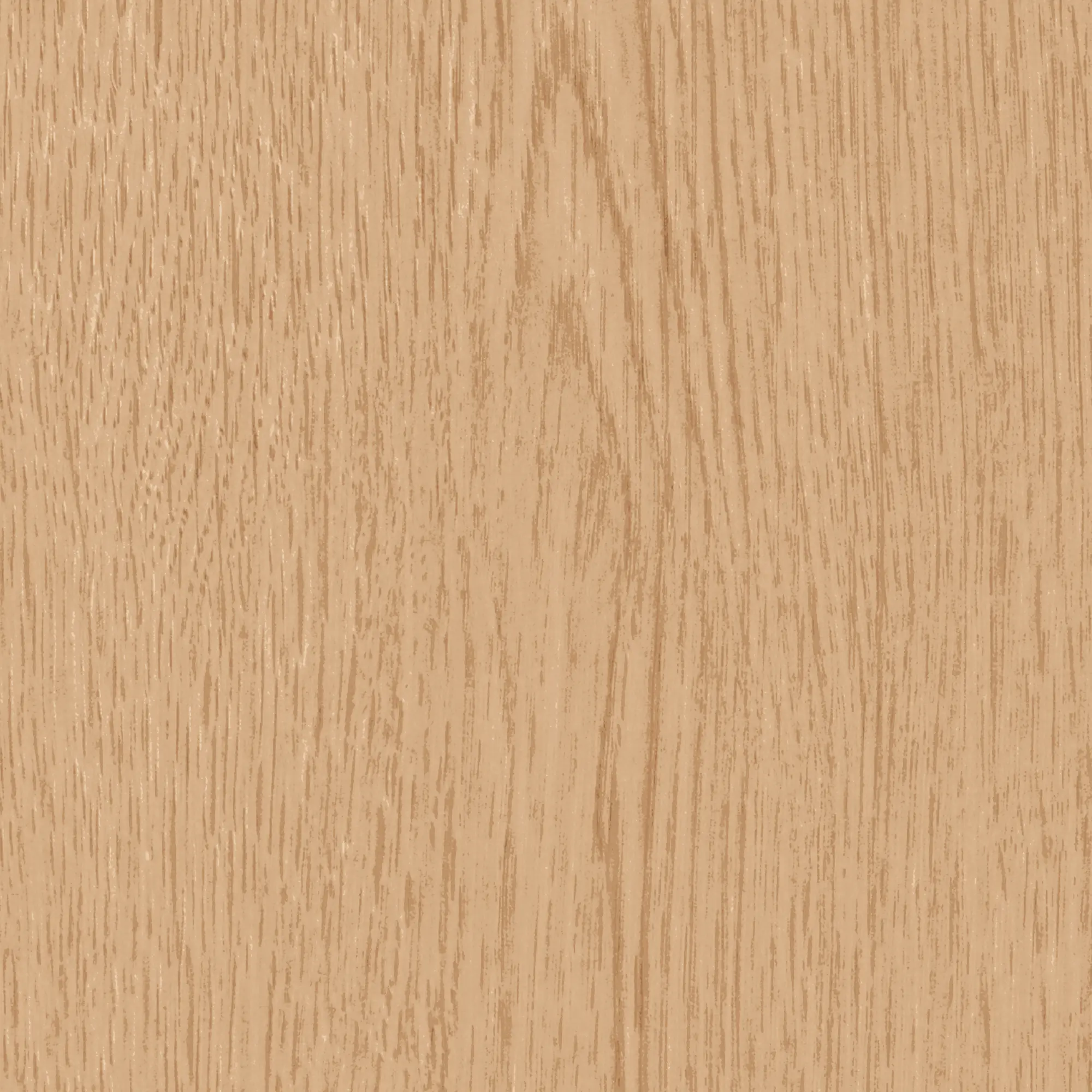 Neuhofer Fußleiste 240 cm x 58 x 19 mm eiche