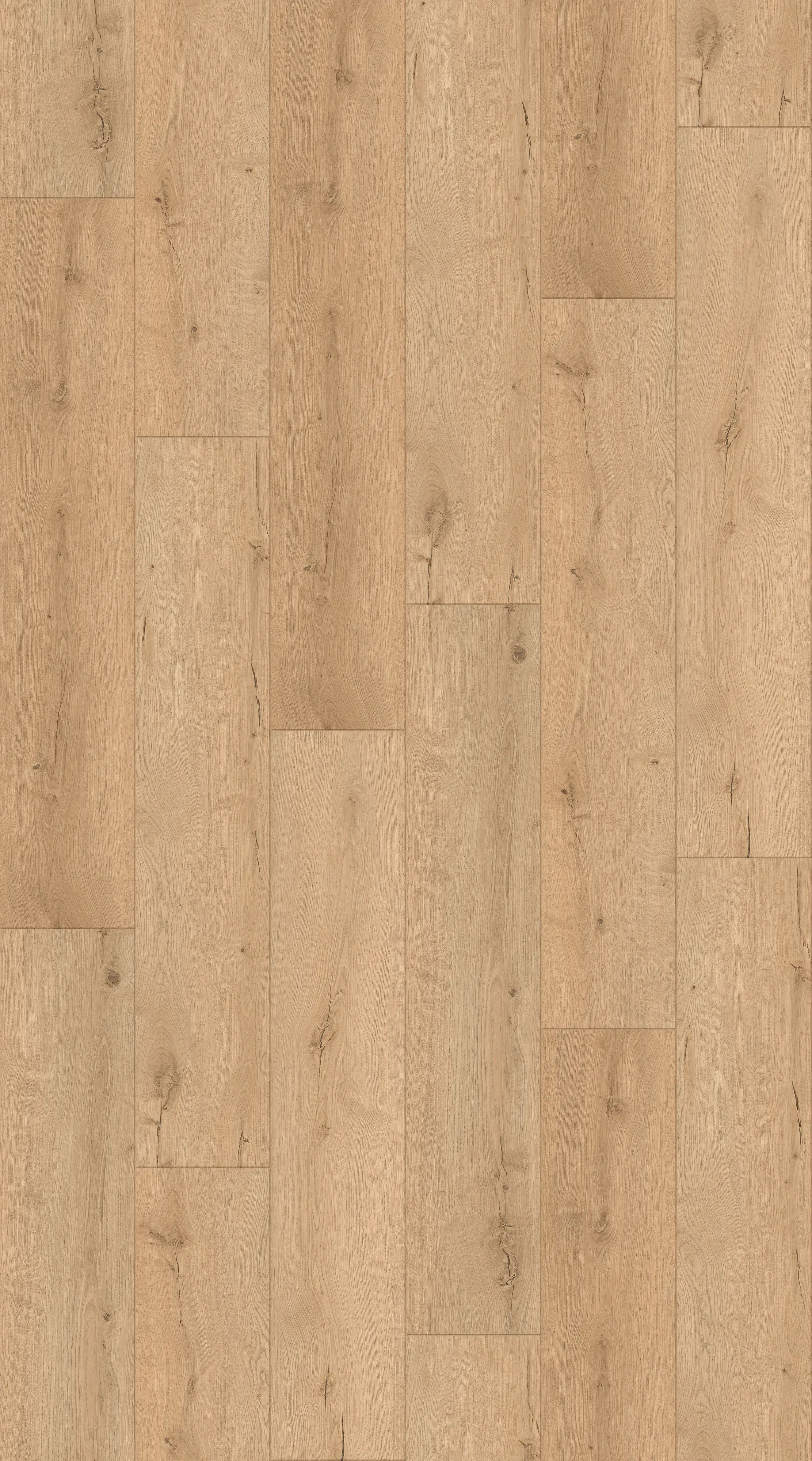 Decoflooring Vinylboden mit Trittschalldämmung Eiche Nova Scandic 