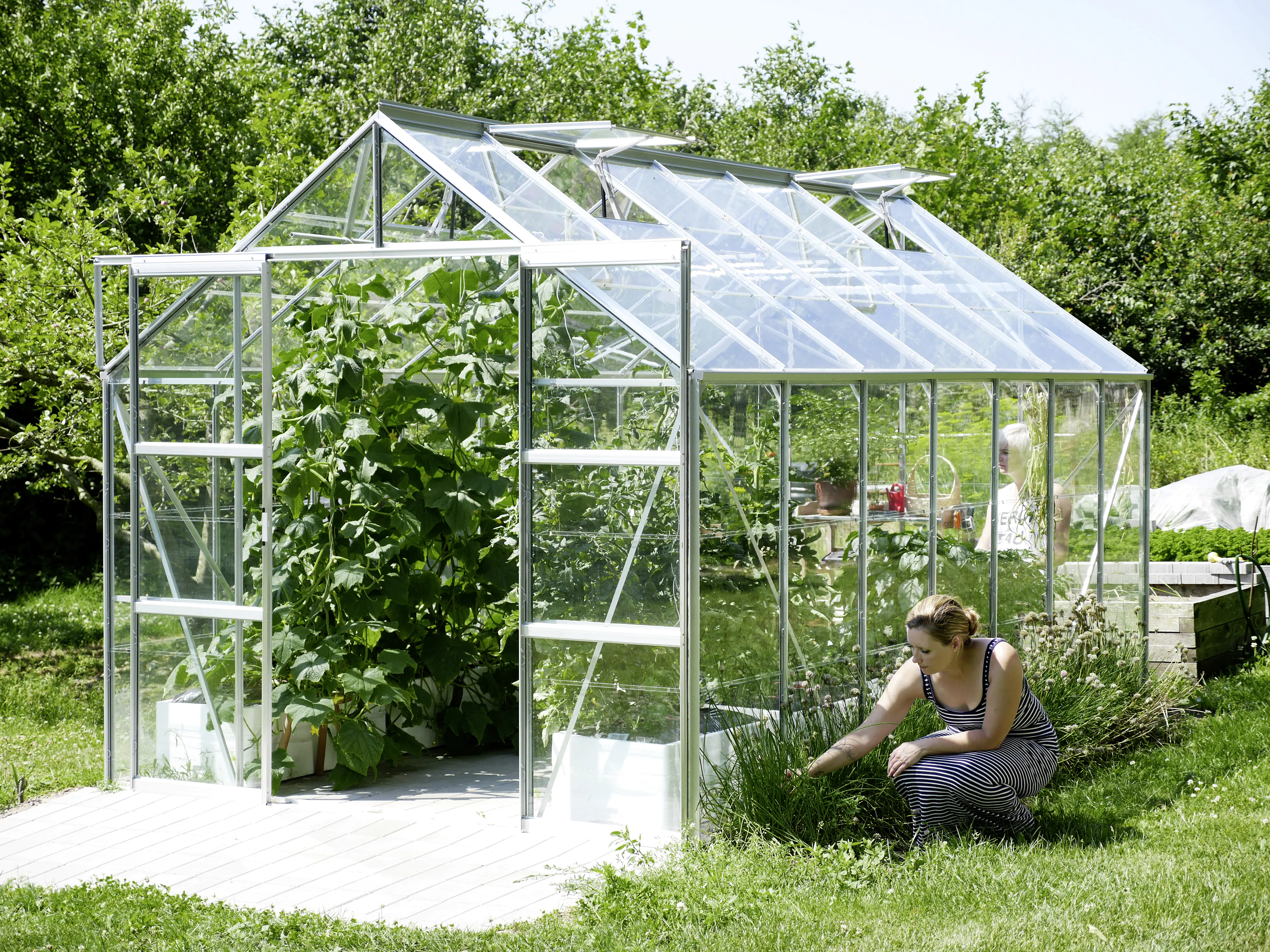 Vitavia Gewächshaus Uranus 11500 254 x 441 cm 3 mm Sicherheitsglas Vitavia Gewächshaus Uranus 11500 254 x 441 cm 3 mm Sicherheitsglas
