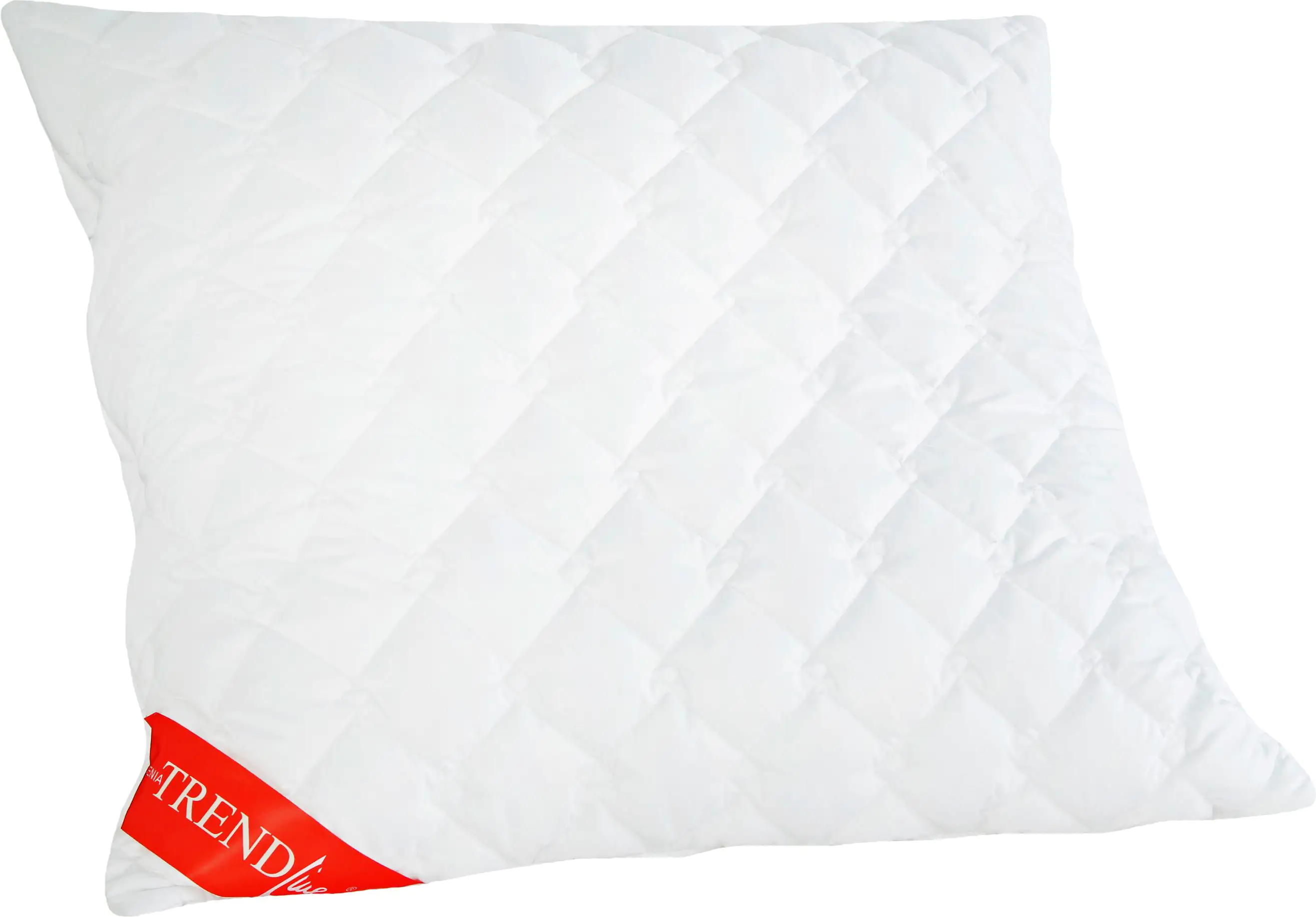 Badenia Trendline Kopfkissen Micro weiß, 80 x 80 cm Badenia Trendline Kopfkissen Micro weiß, 80 x 80 cm