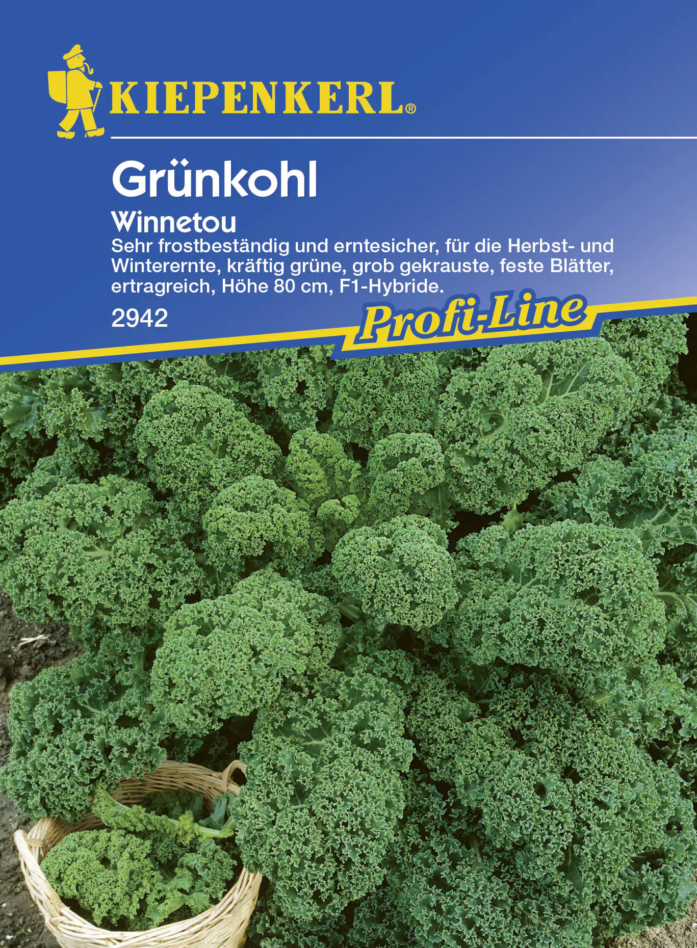 Kiepenkerl Grünkohl Winnetou Brassica oleracea var. sabellica, Inhalt: ca. 30 Pflanzen