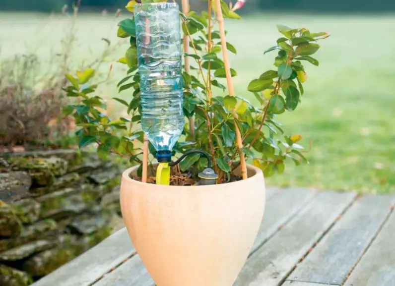 Automatische Planzenbewässerung Iriso Tropfsystem PG1