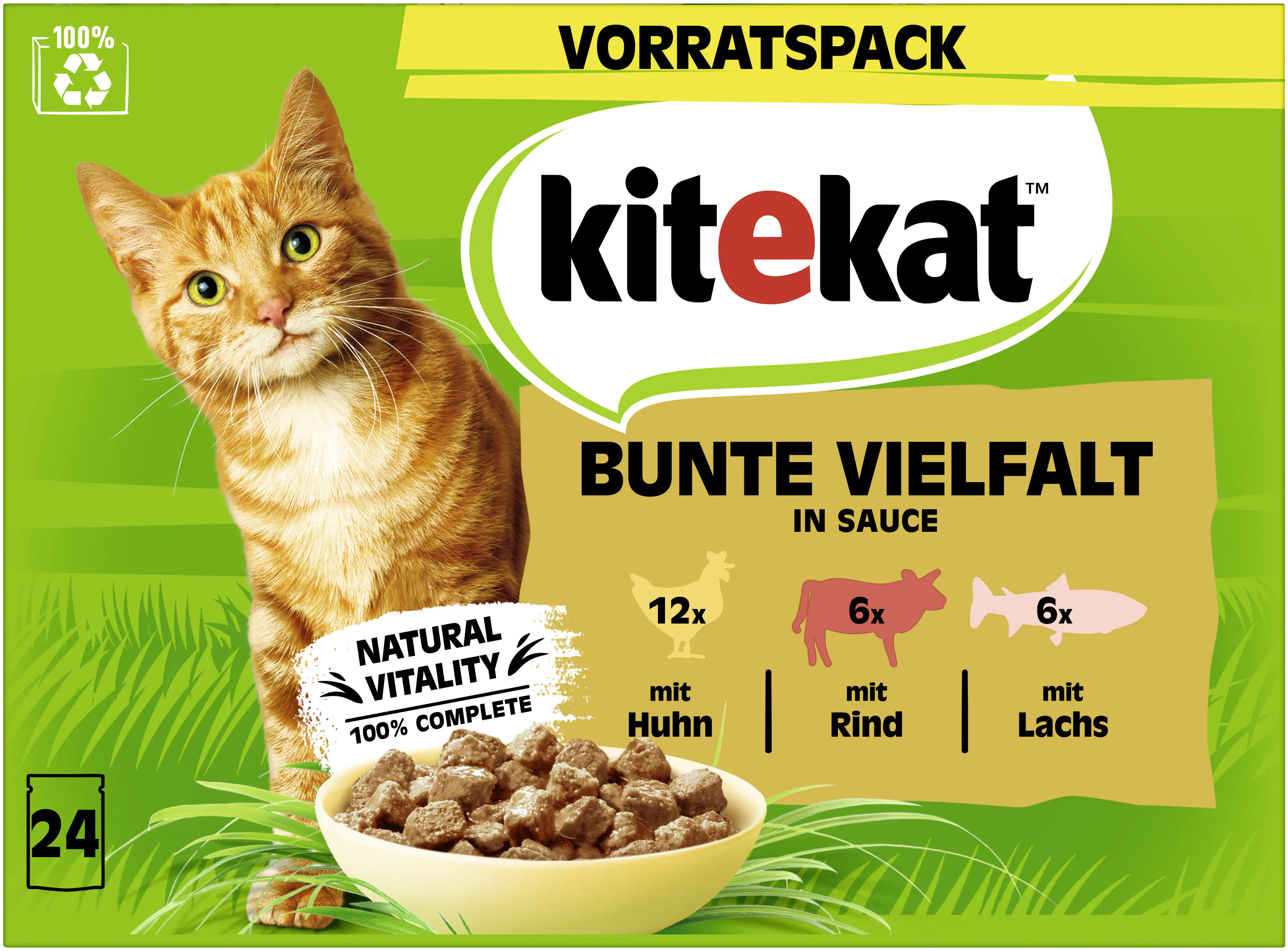 Kitekat Bunte Vielfalt in Sauce Multipack Vorratspack 24x85 g