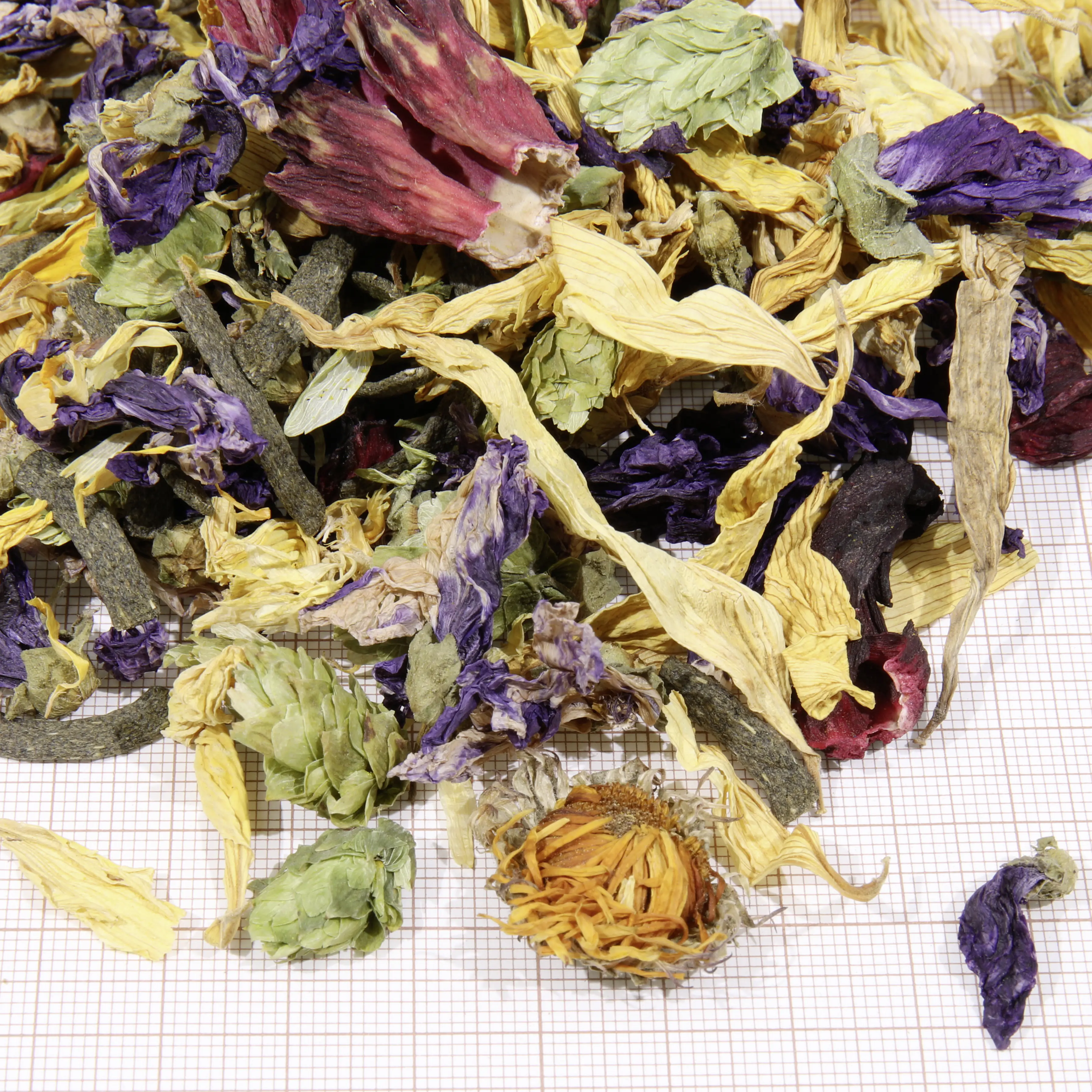 JBL Schildkrötenfutter Proterra Florsil 250 g