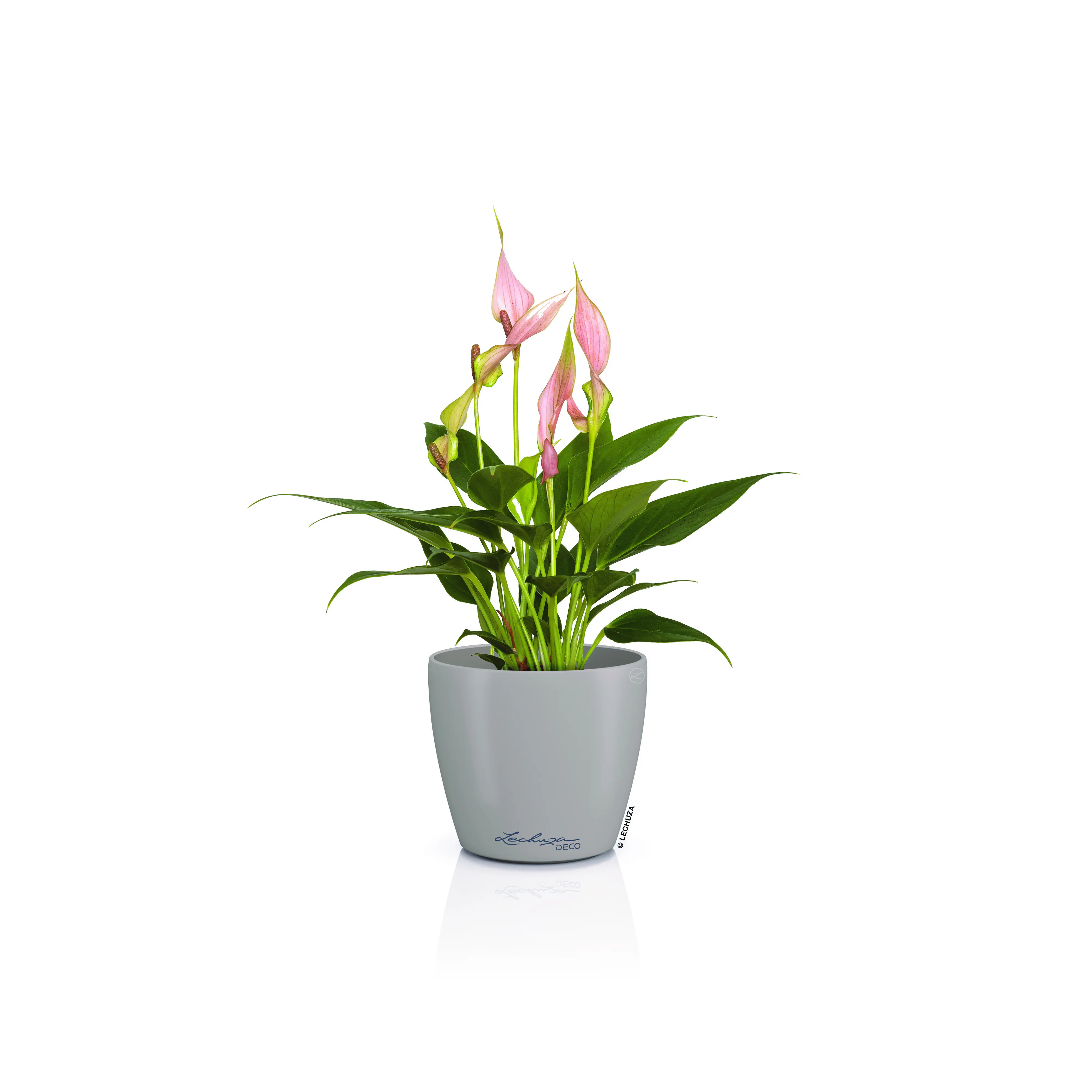 Lechuza Pflanztopf Deco 10 Ø 11,1 x 10 cm sandbraun