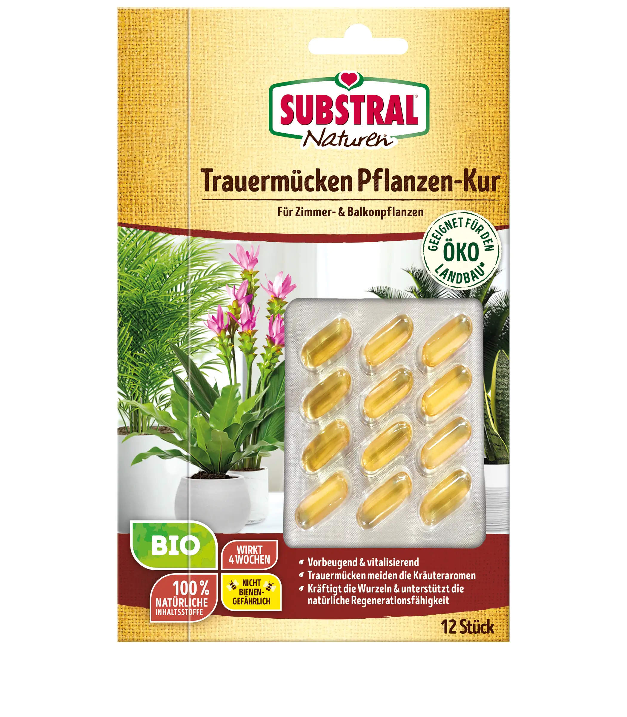Substral Naturen Trauermücken Pflanzenkur 12 Stück Substral Naturen Trauermücken Pflanzenkur 12 Stück