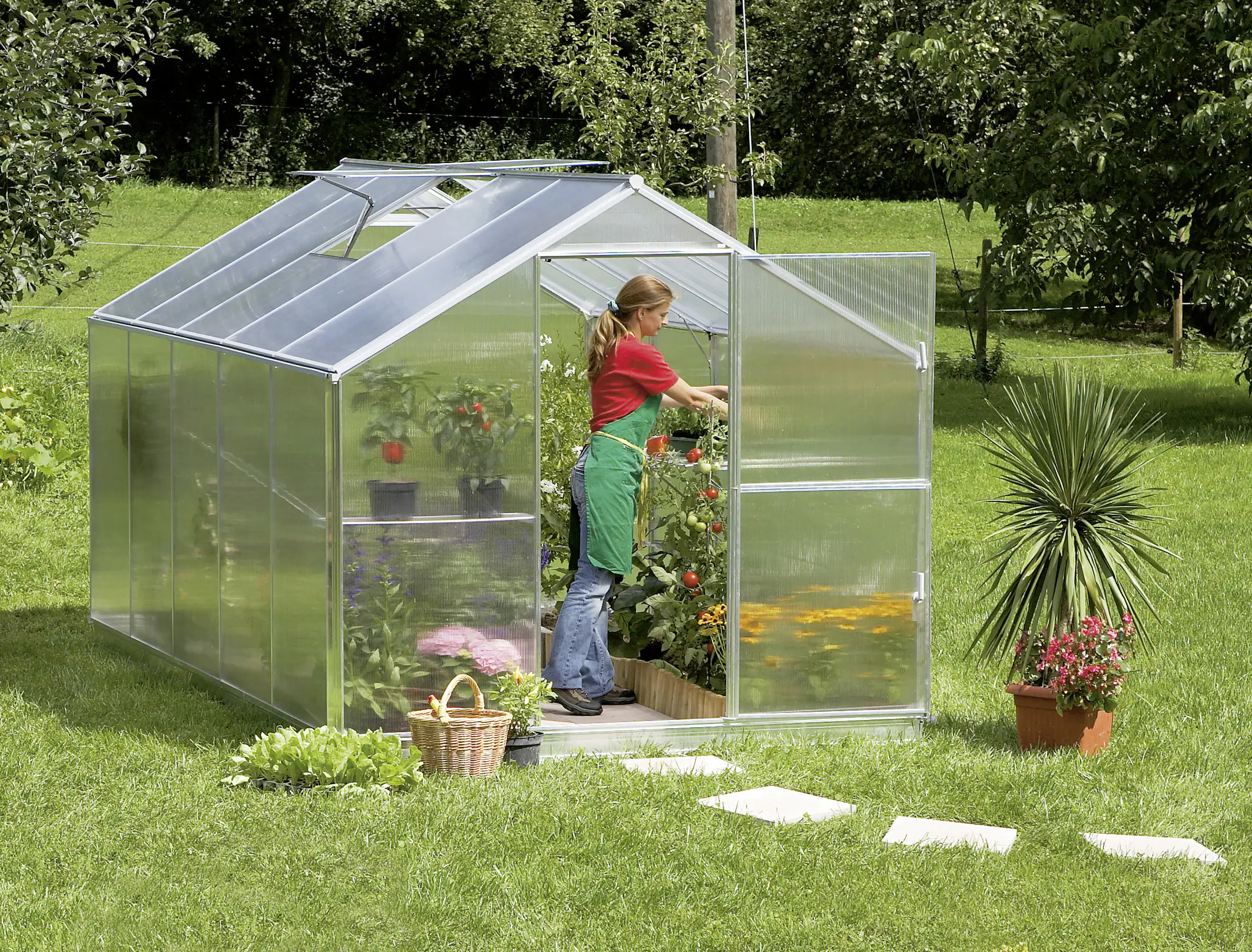4003412062341 Gutta Alu Gewächshaus Typ F5 374 x 227 cm
