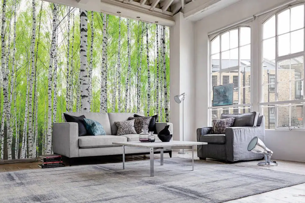 papermoon Vlies- Fototapete Digitaldruck 250 x 180 cm Birch Forest