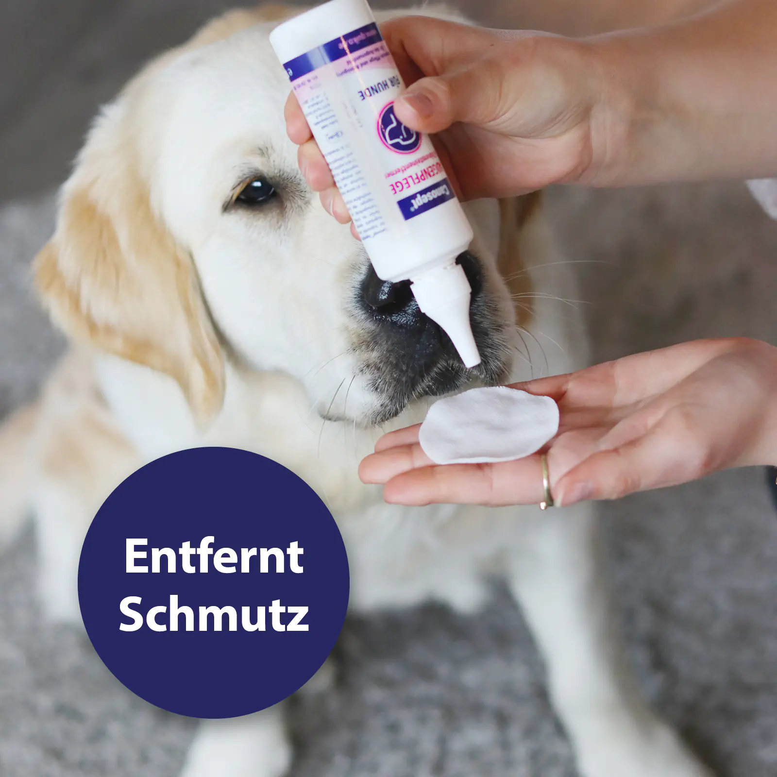 Canosept Augenpflege-Pads für Hunde 100 Stück Canosept Augenpflege-Pads für Hunde 100 Stück