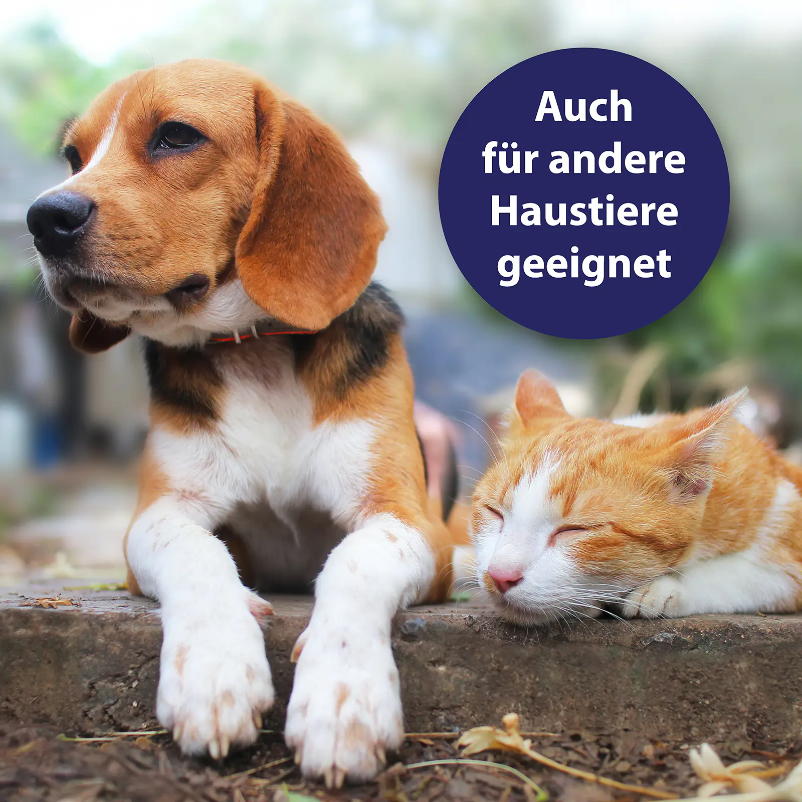 Canospet Hautpflegespray für Hunde 250 ml Canospet Hautpflegespray für Hunde 250 ml