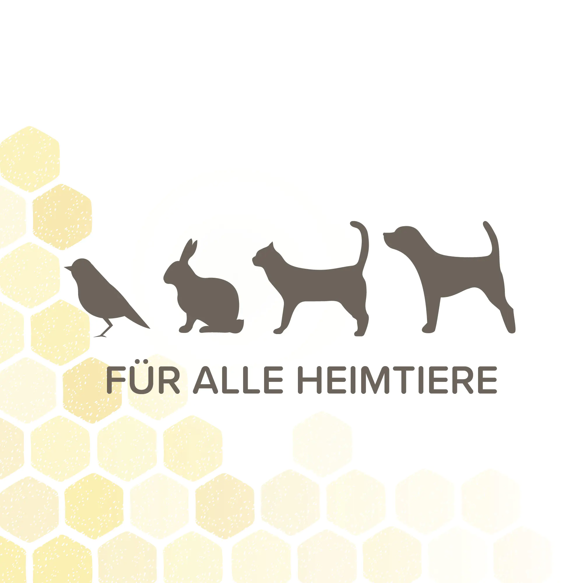 Beaphar Derma Care Balsam für Heimtiere 30 ml  Beaphar Derma Care Balsam für Heimtiere 30 ml