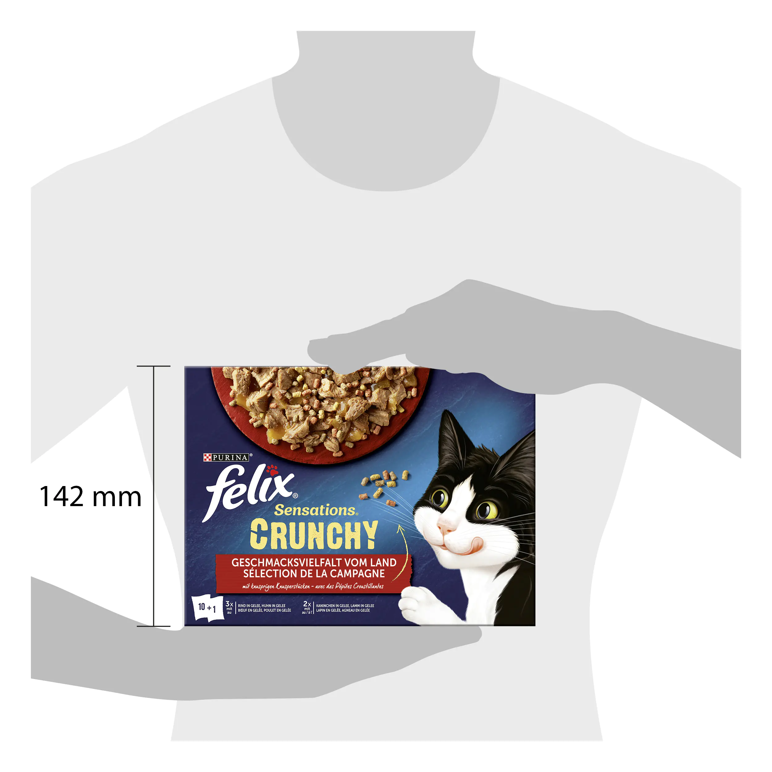 Felix Sensations Crunchy Geschmacksvielfalt vom Land Katzenfutter 10 x 85g