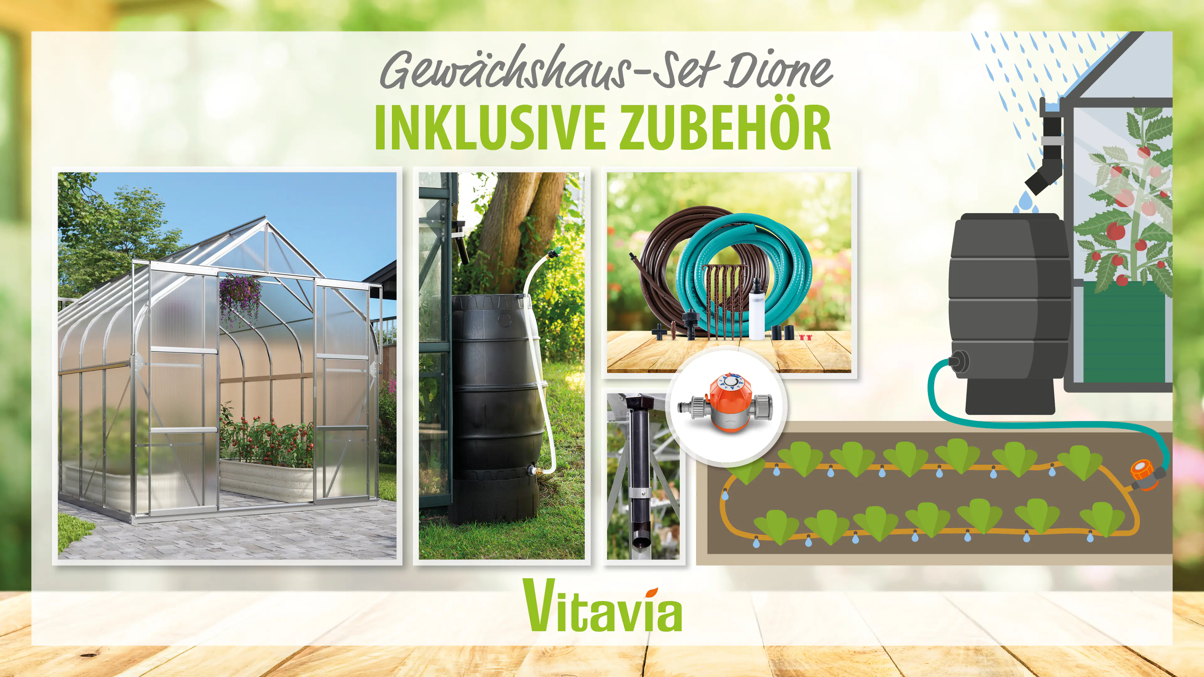 Vitavia Gewächshaus-Set-Set Dione 11500 HKP 4 mm alu 254 x 441 cm