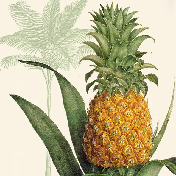 Braun & Company Servietten Motiv Tropic Pineapple 33 x 33 cm - 20er Pack