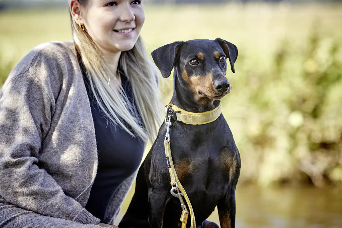 Wolters Hundehalsband Professional Comfort curry gelb Wolters Hundehalsband Professional Comfort curry gelb