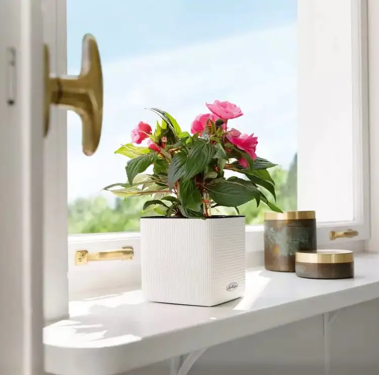 Lechuza Pflanzgefäß Cube Color 16 schiefergrau