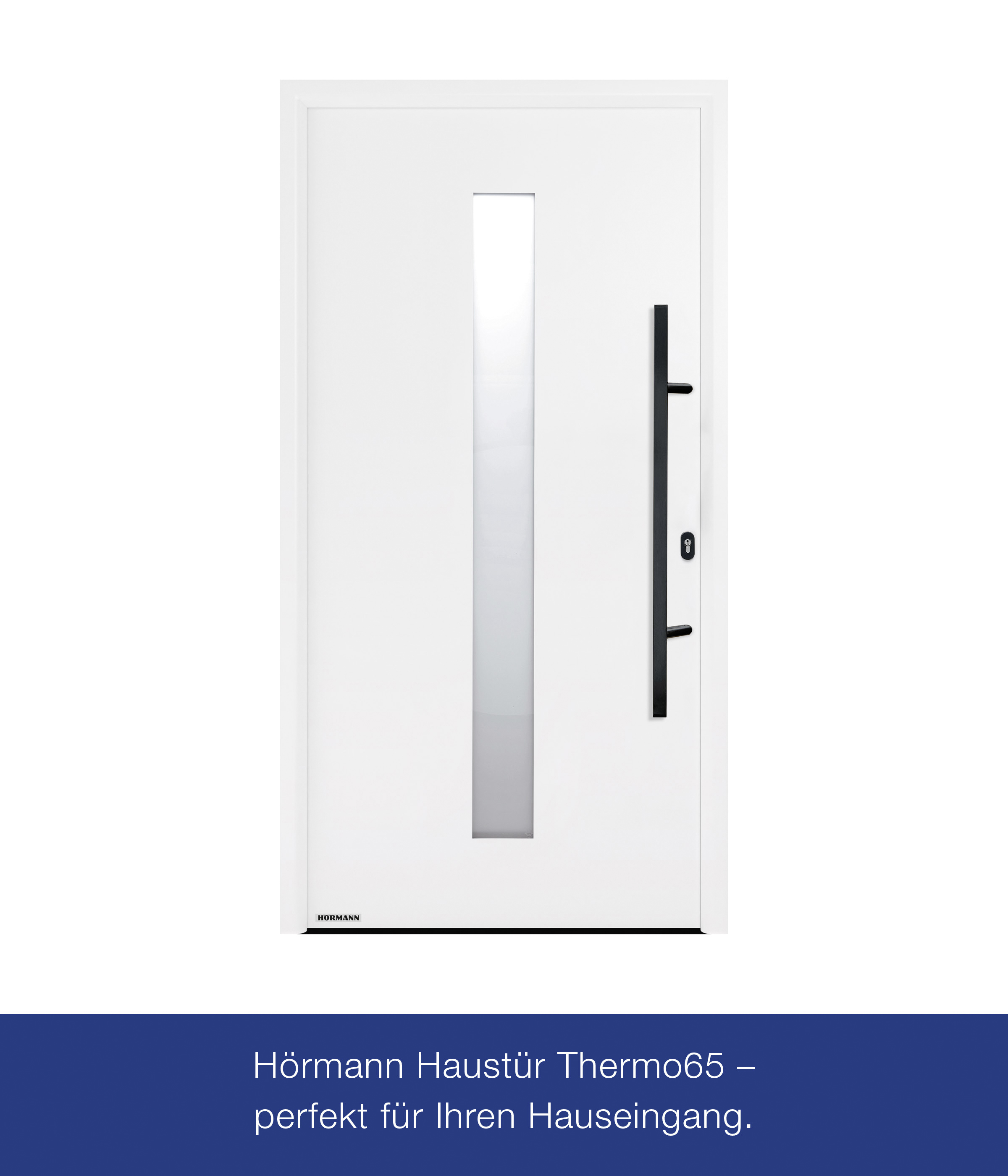 Hörmann Haustür Thermo65 Motiv 610S verkehrsweiß Rechts 110 x 210 cm 